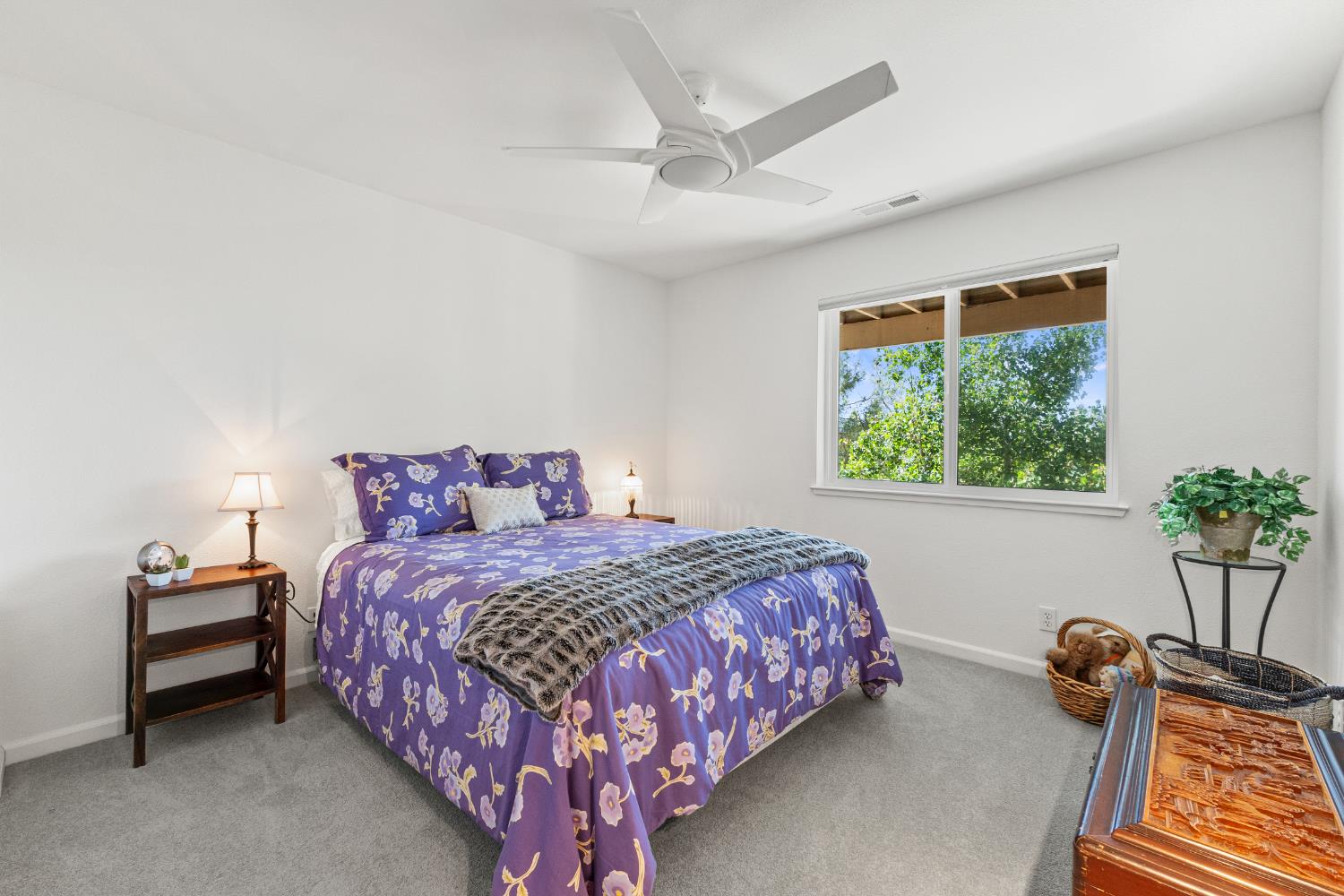 207 Snowberry Court