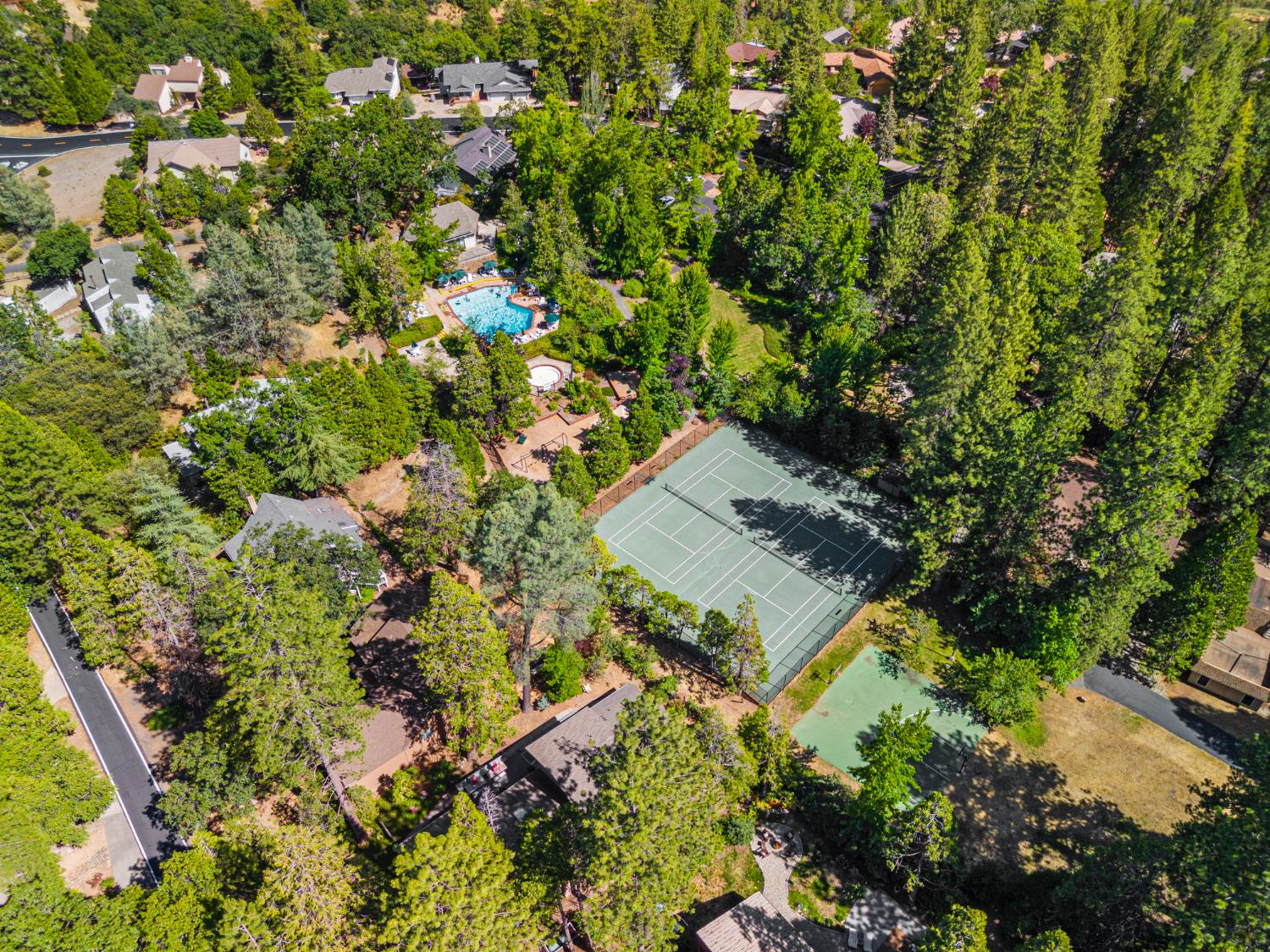 207 Snowberry Court