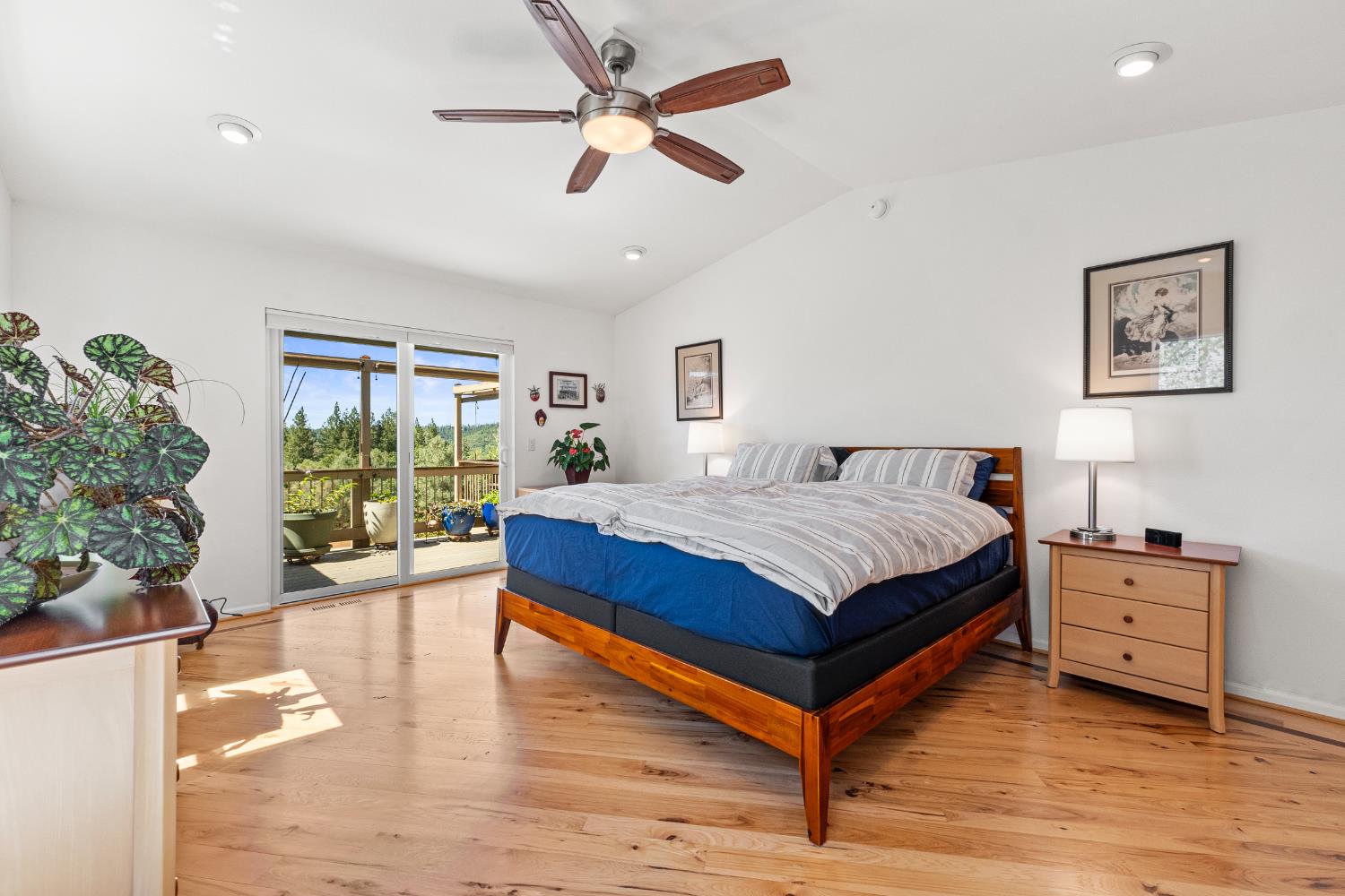 207 Snowberry Court