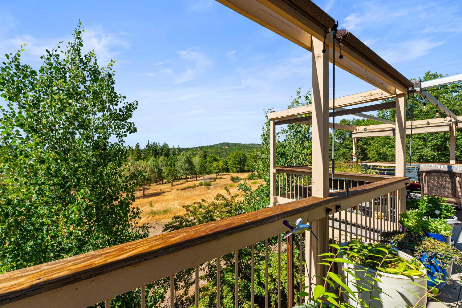 207 Snowberry Court