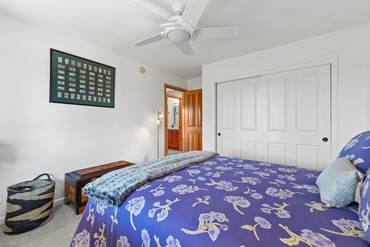 207 Snowberry Court
