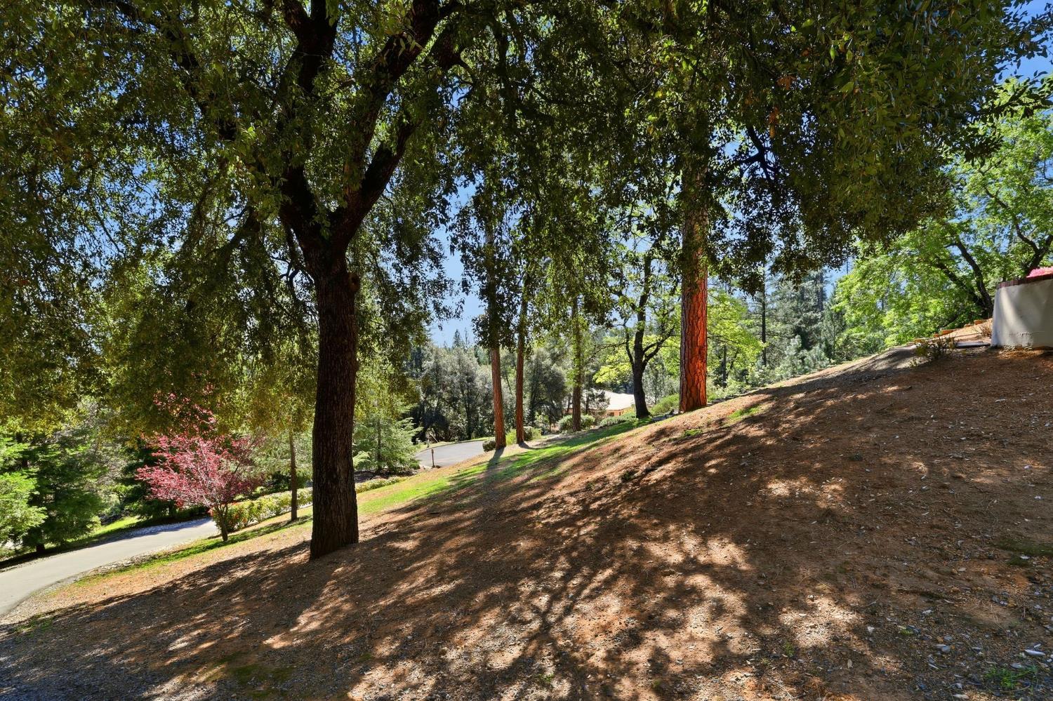 4345 La Brosa Place