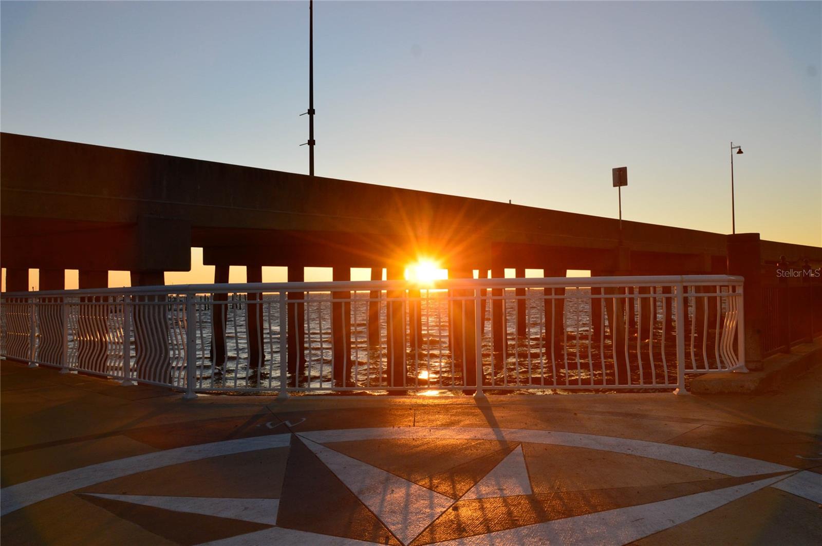 1344 ROCK DOVE CT #D102