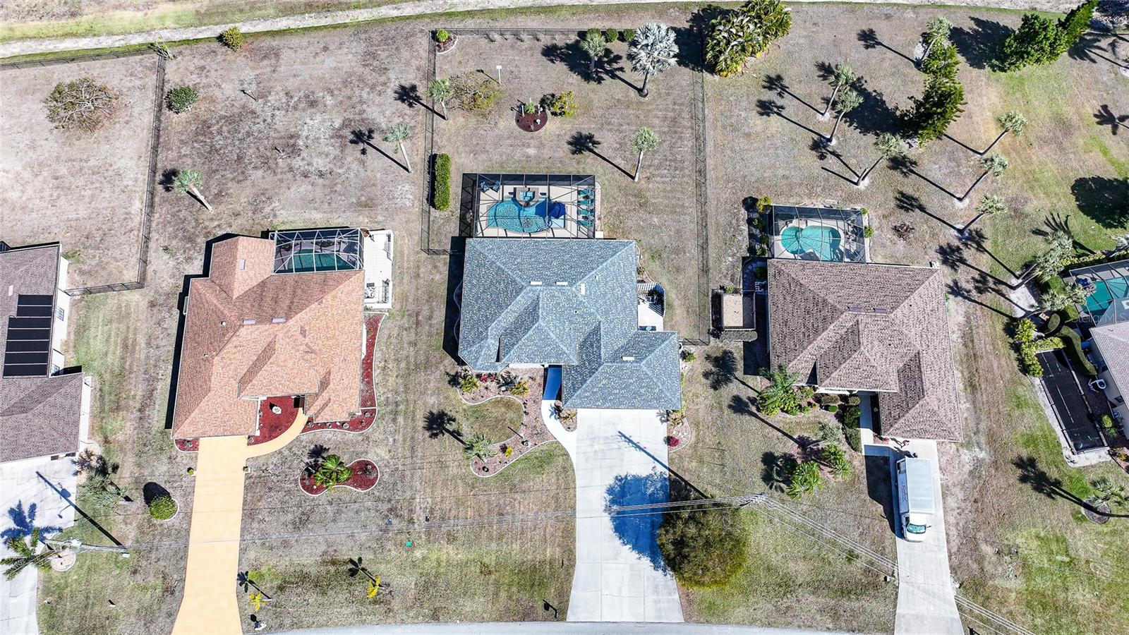 600 ROYAL POINCIANA