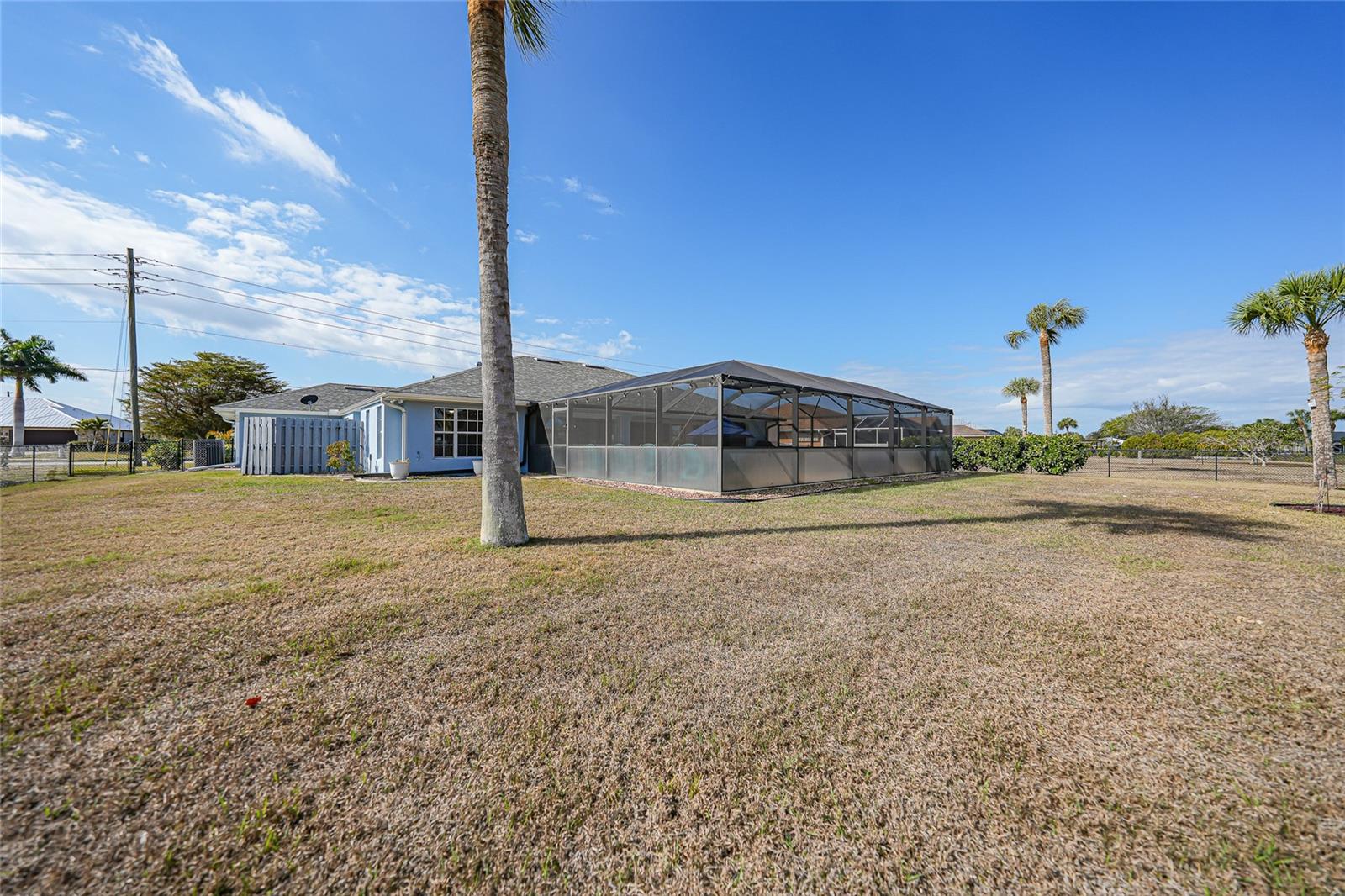 600 ROYAL POINCIANA