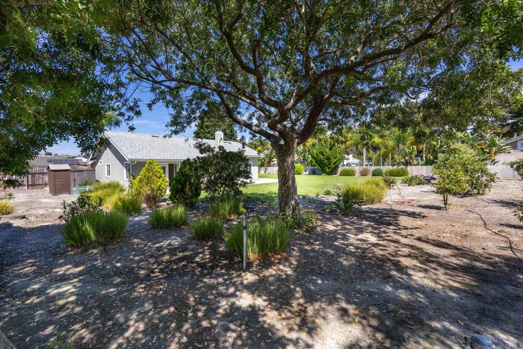 4833 Morning Canyon Road