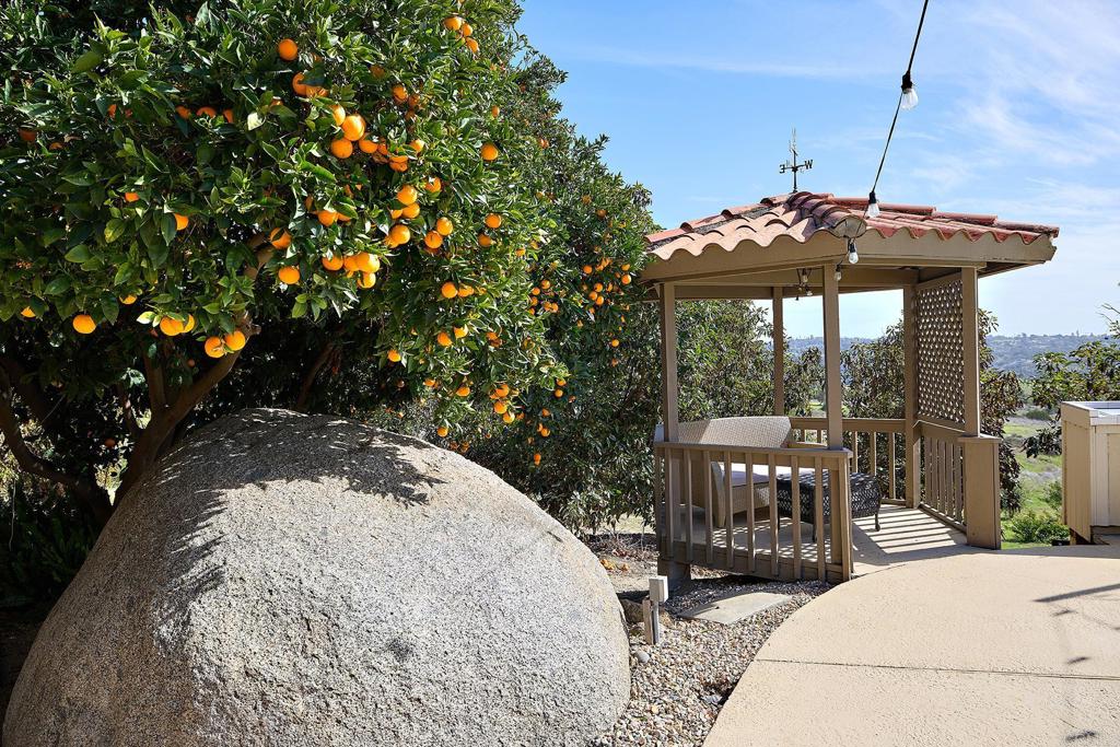 41850 Via Del Gavilan