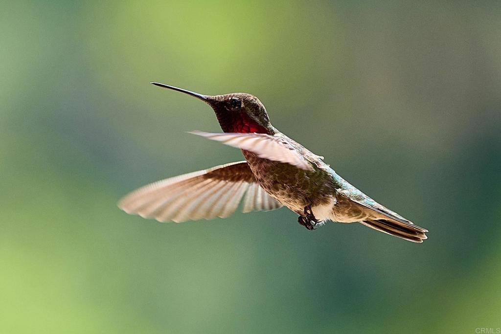 2021 Willow Glen Road