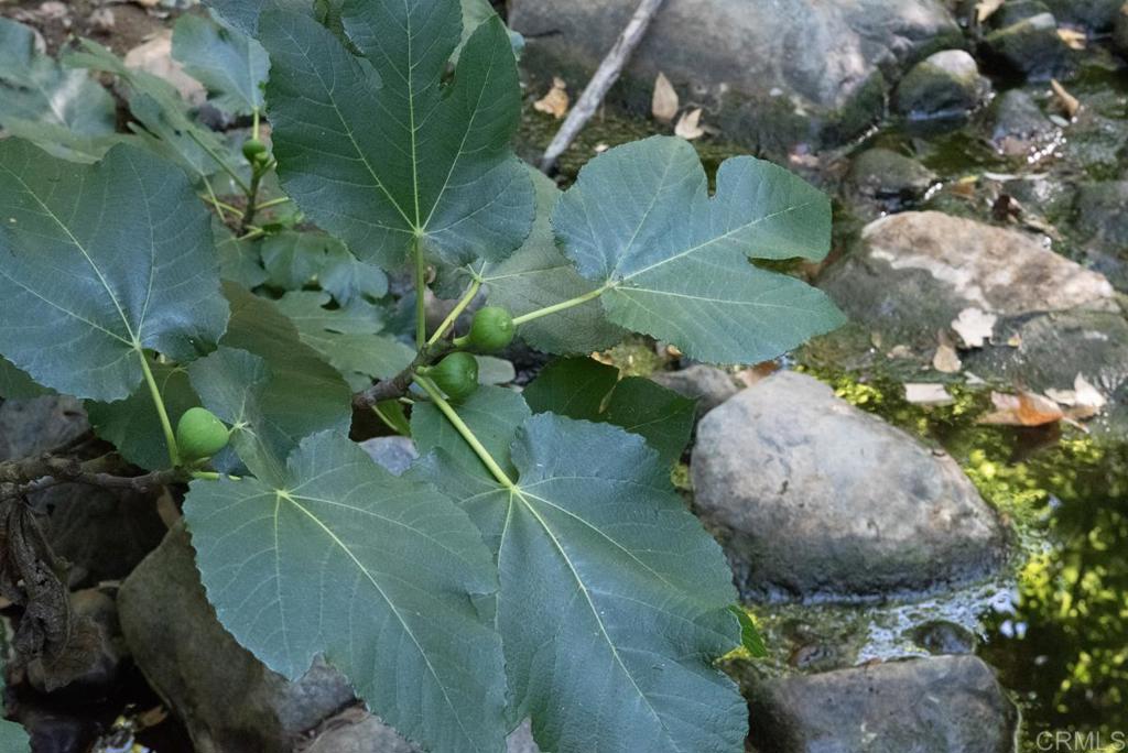 2021 Willow Glen Road