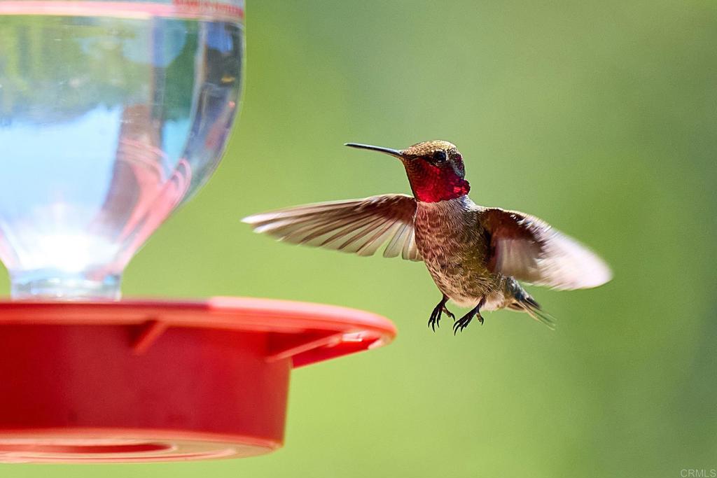 2021 Willow Glen Road