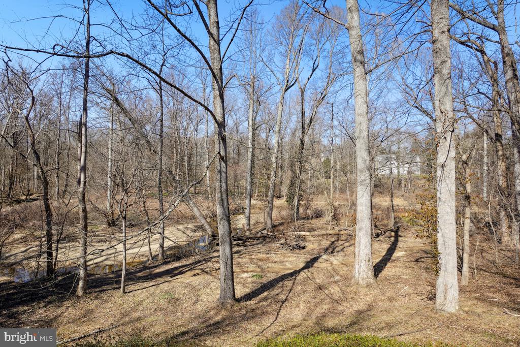 1554 Forest Villa Ln
