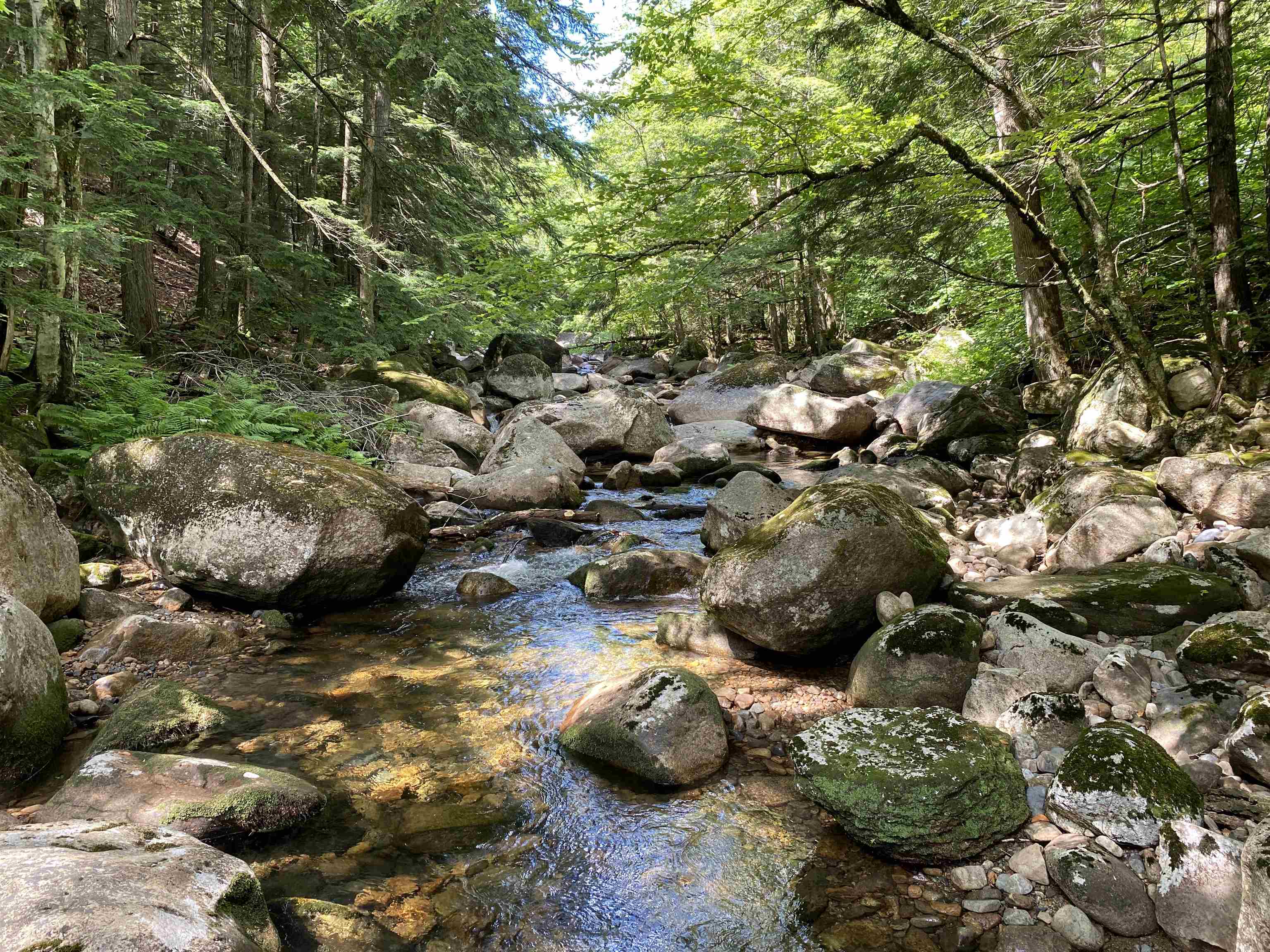 63-11-5 Ossipee Mountain Road Unit: 63/11-5