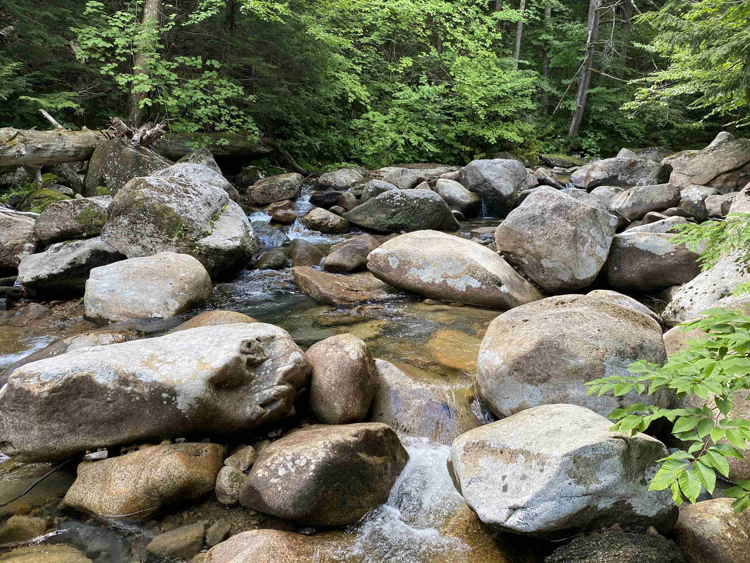 63-11-5 Ossipee Mountain Road Unit: 63/11-5