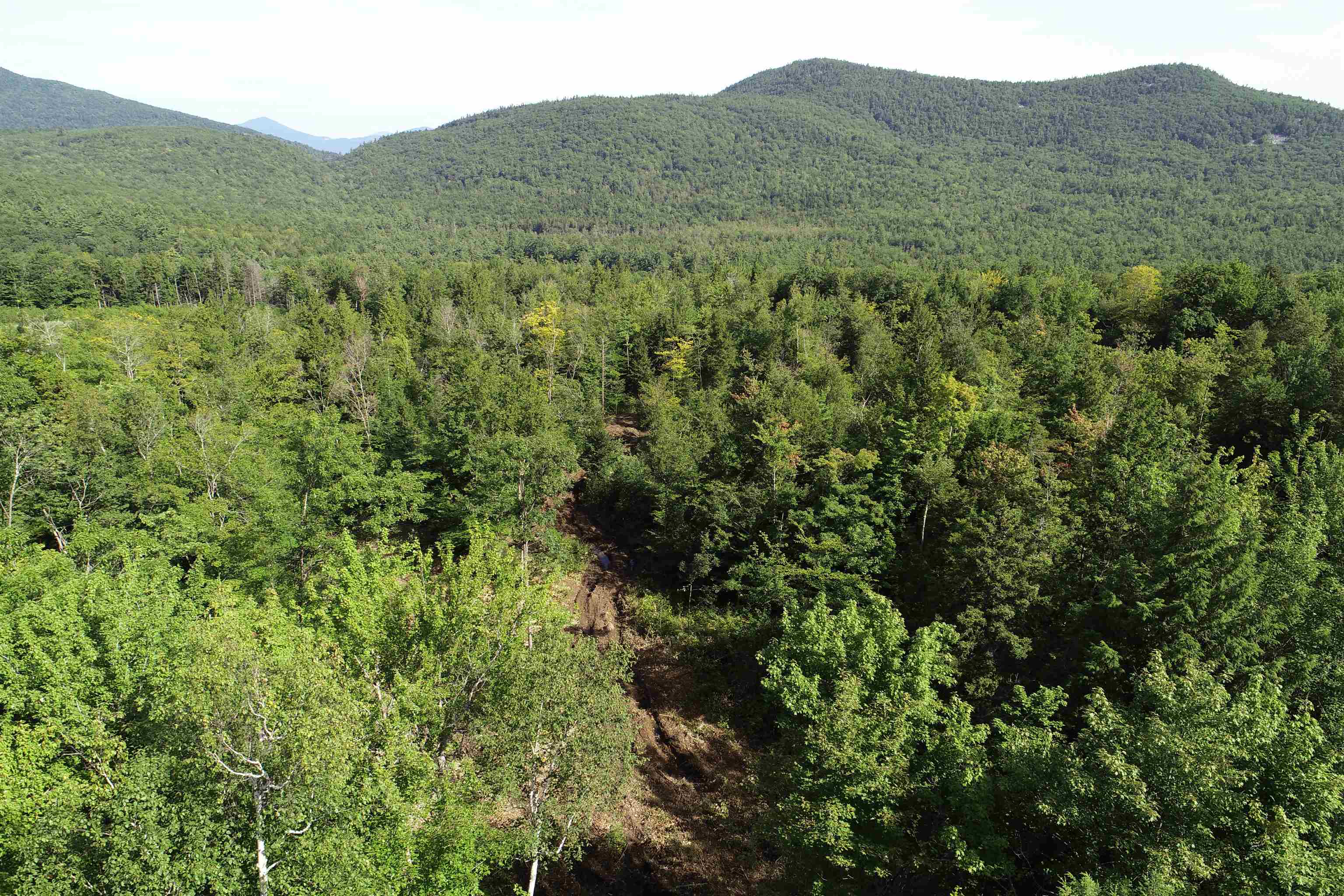 63-11-5 Ossipee Mountain Road Unit: 63/11-5