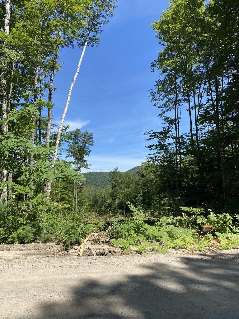 63-11-5 Ossipee Mountain Road Unit: 63/11-5