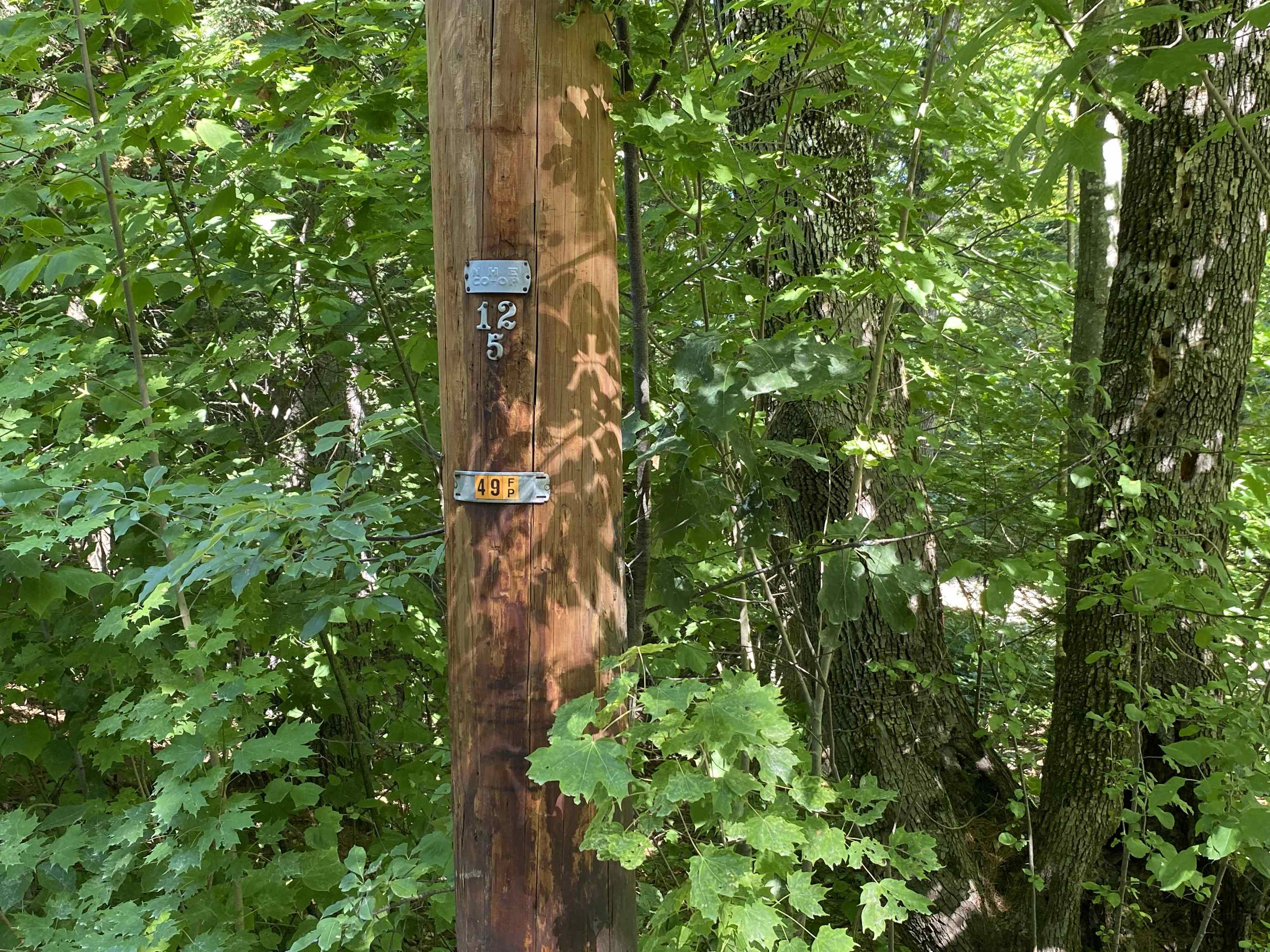 63-11-7 Ossipee Mountain Road Unit: 63/11-7