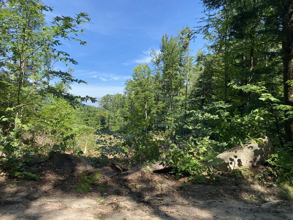 63-11-7 Ossipee Mountain Road Unit: 63/11-7