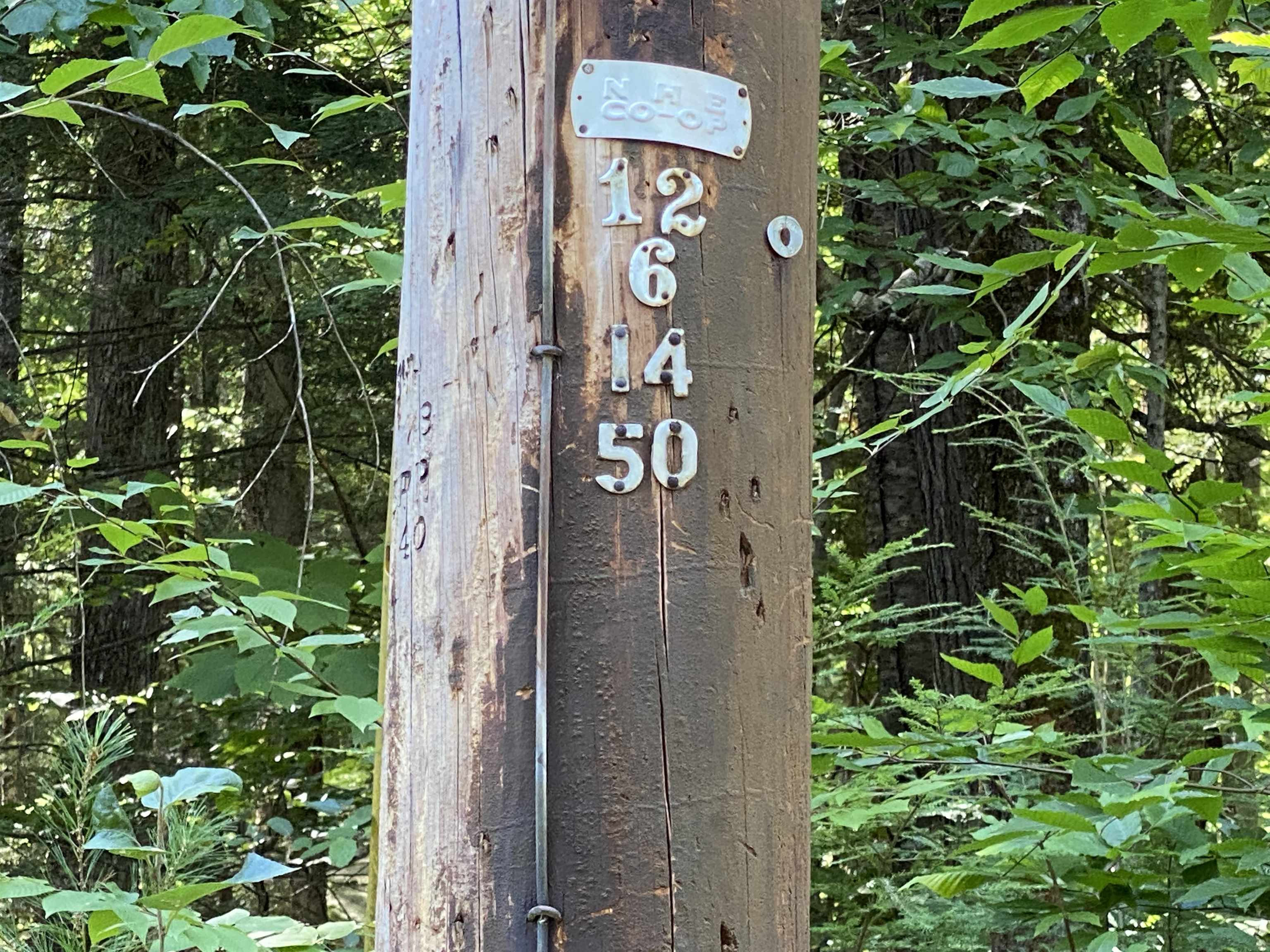 63-11-7 Ossipee Mountain Road Unit: 63/11-7