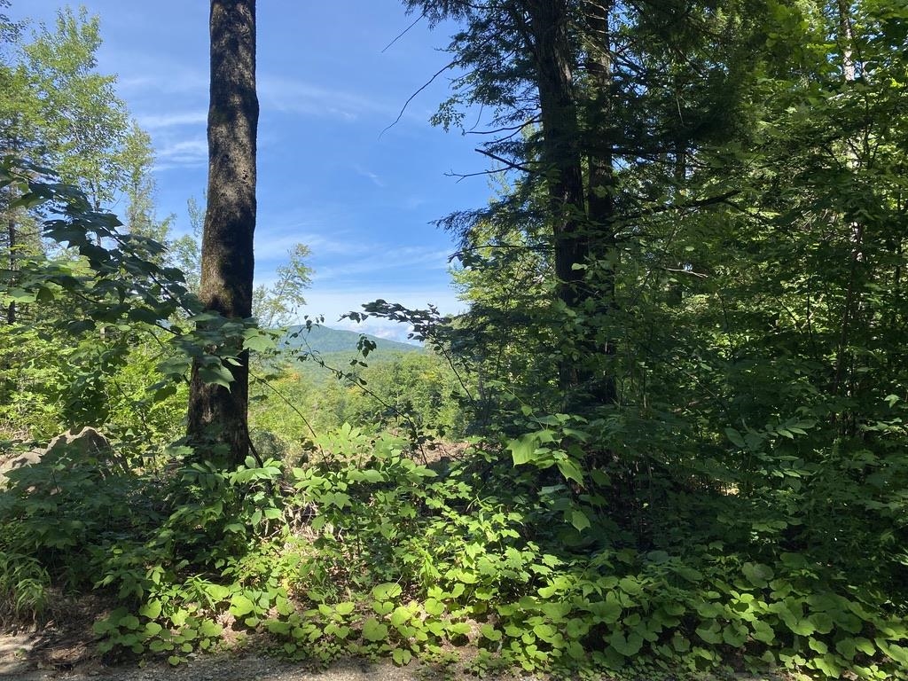 63-11-7 Ossipee Mountain Road Unit: 63/11-7