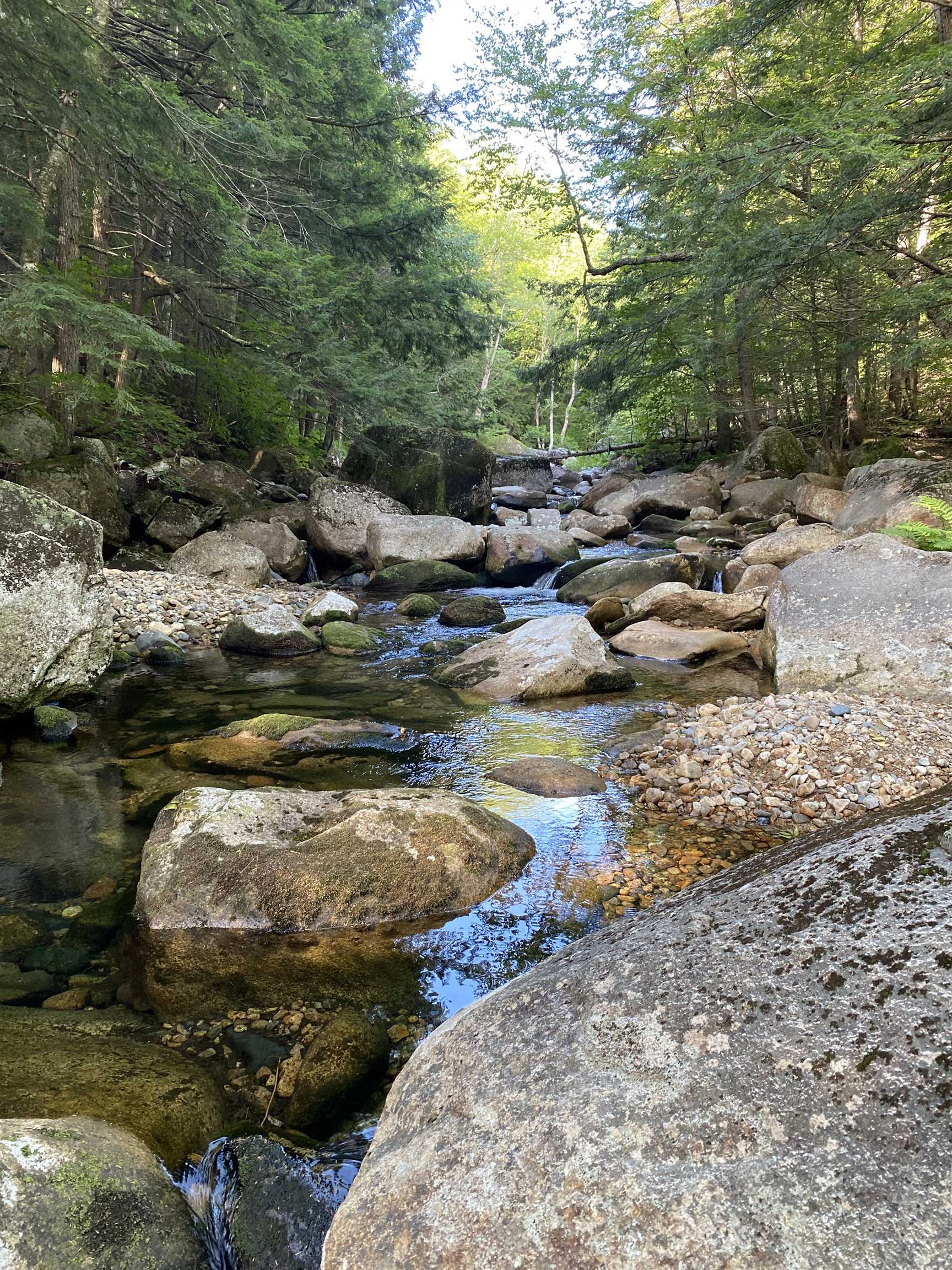 Lot 63-11-1 Ossipee Mountain Road Unit: 63/11-1