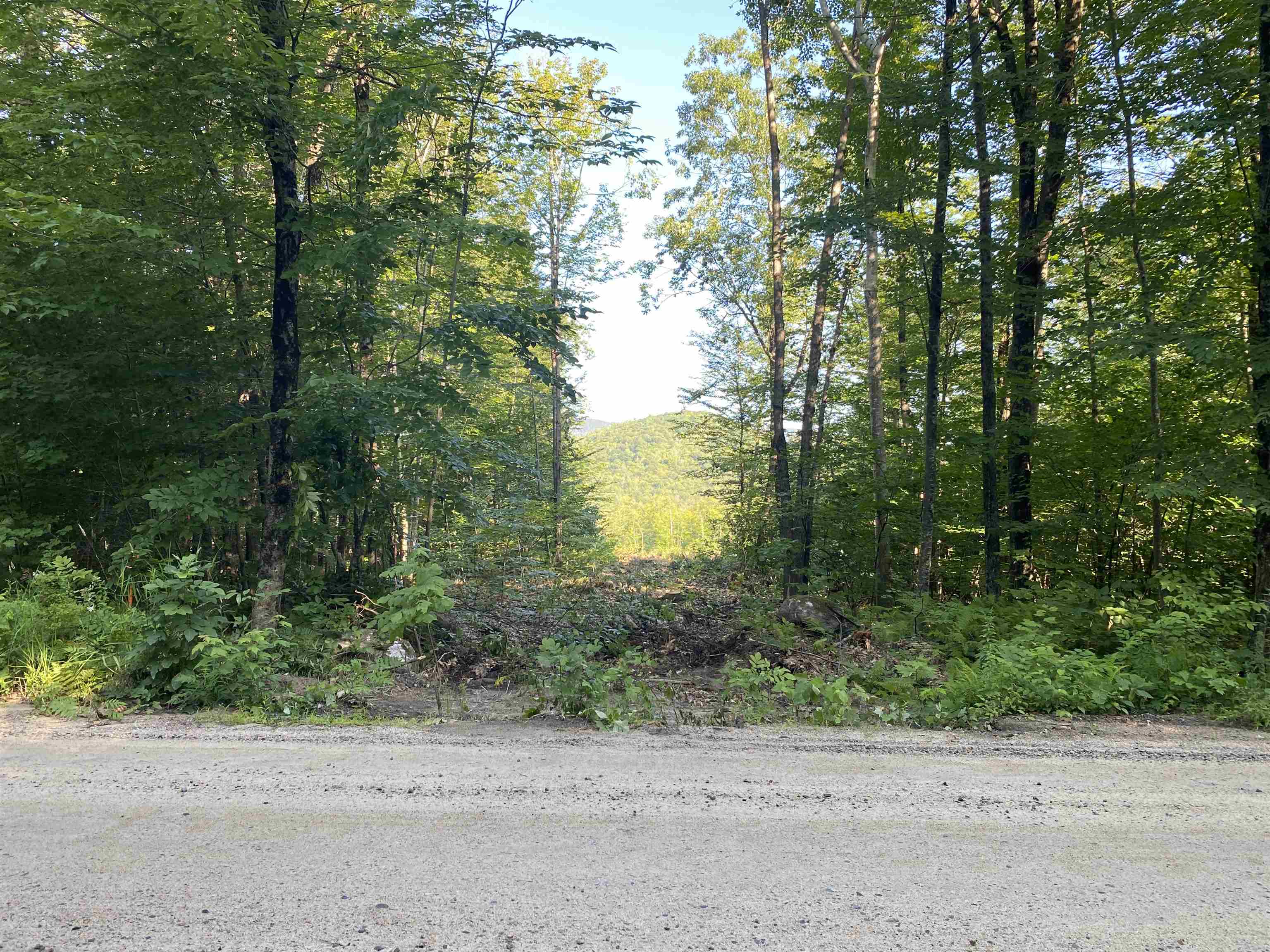 Lot 63-11-1 Ossipee Mountain Road Unit: 63/11-1