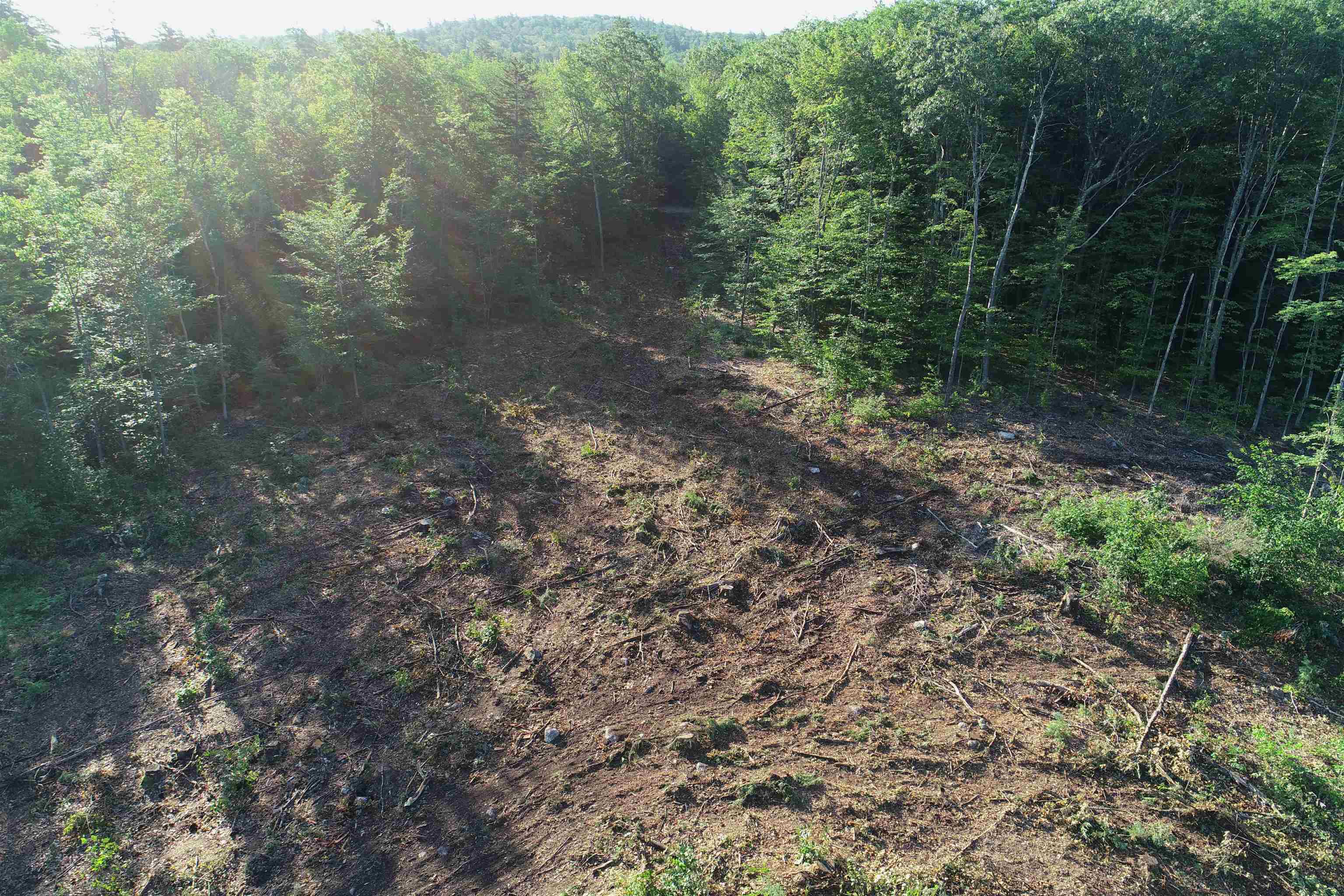Lot 63-11-1 Ossipee Mountain Road Unit: 63/11-1