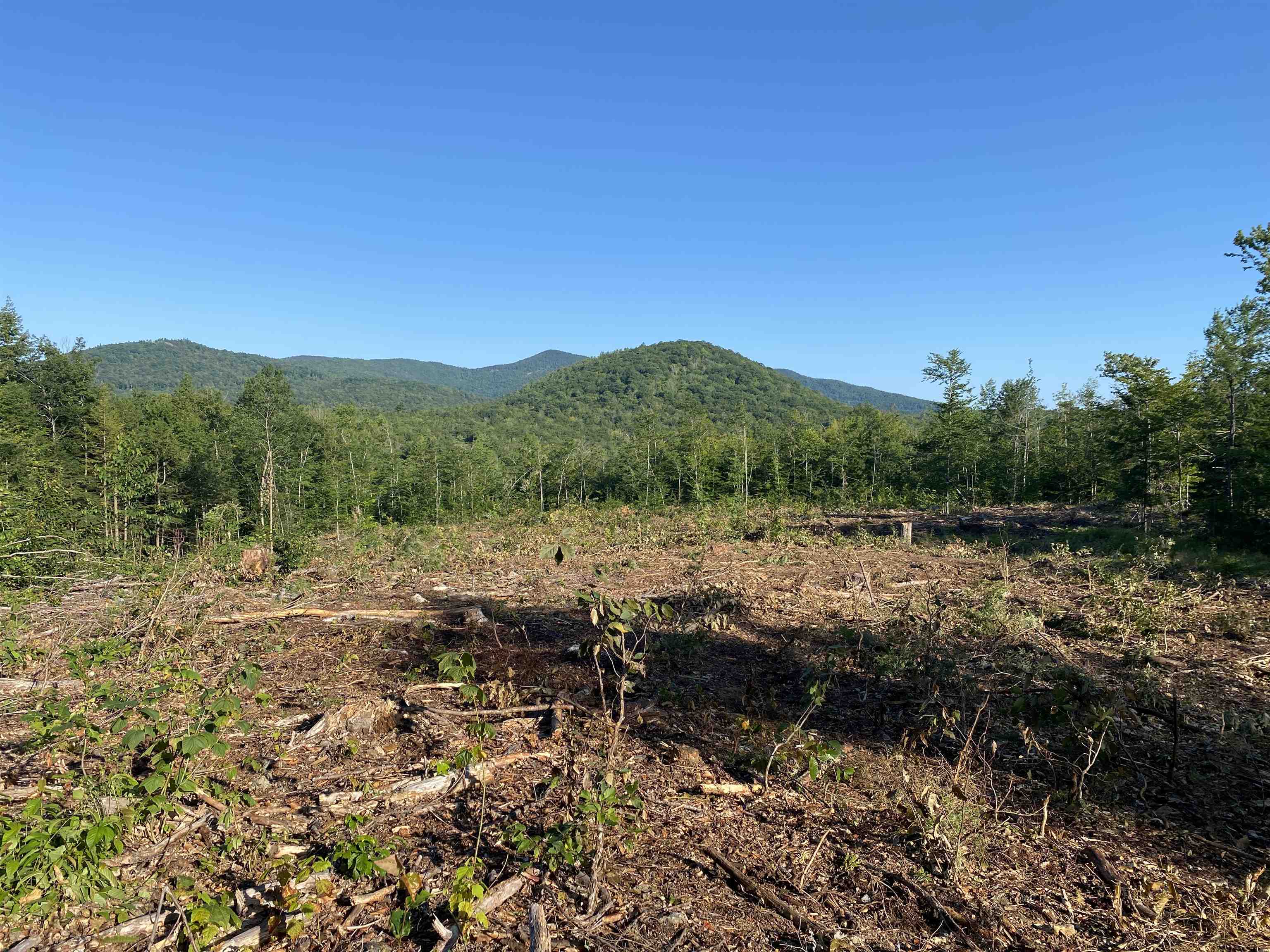 Lot 63-11-1 Ossipee Mountain Road Unit: 63/11-1