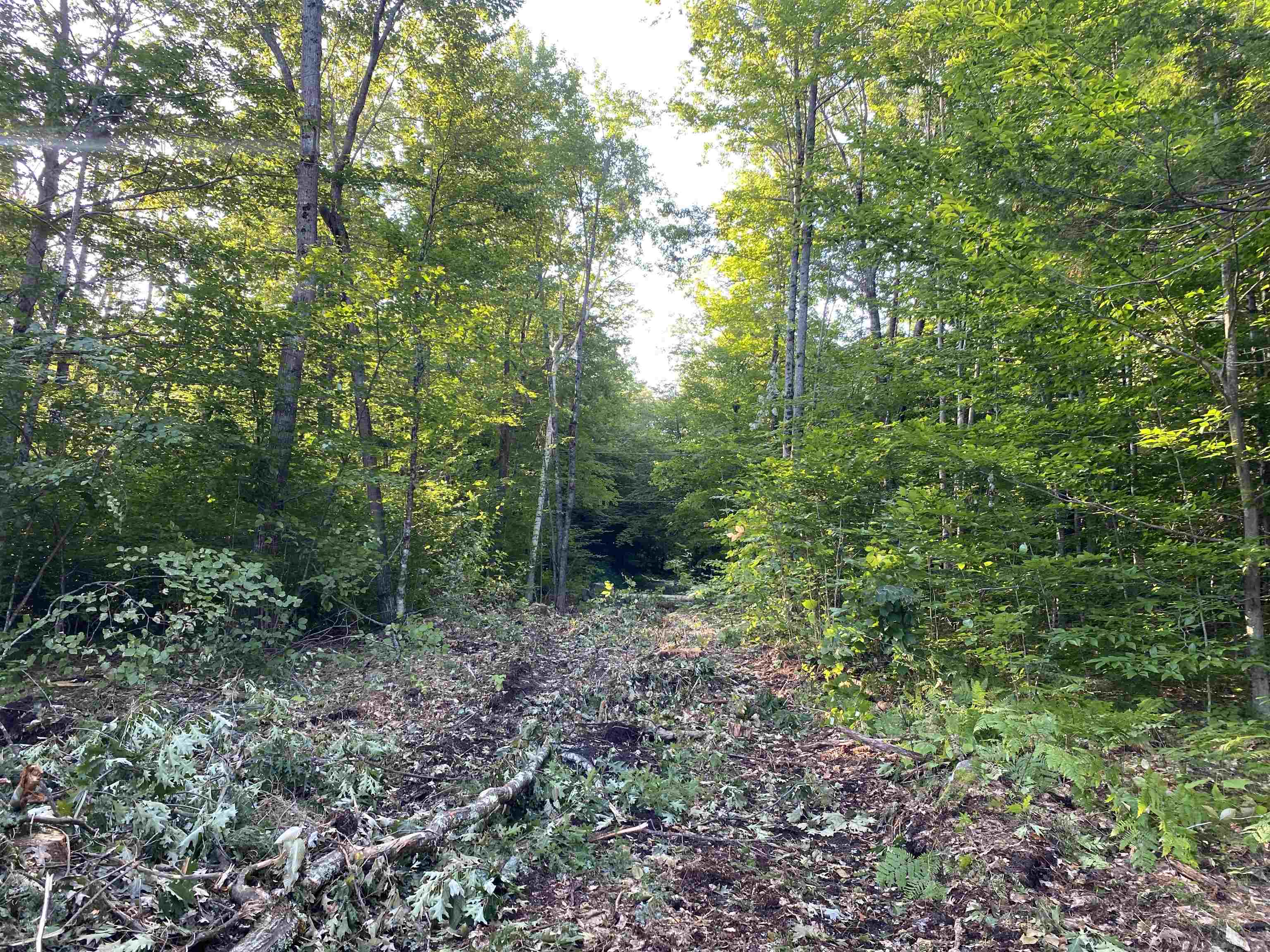 Lot 63-11-1 Ossipee Mountain Road Unit: 63/11-1