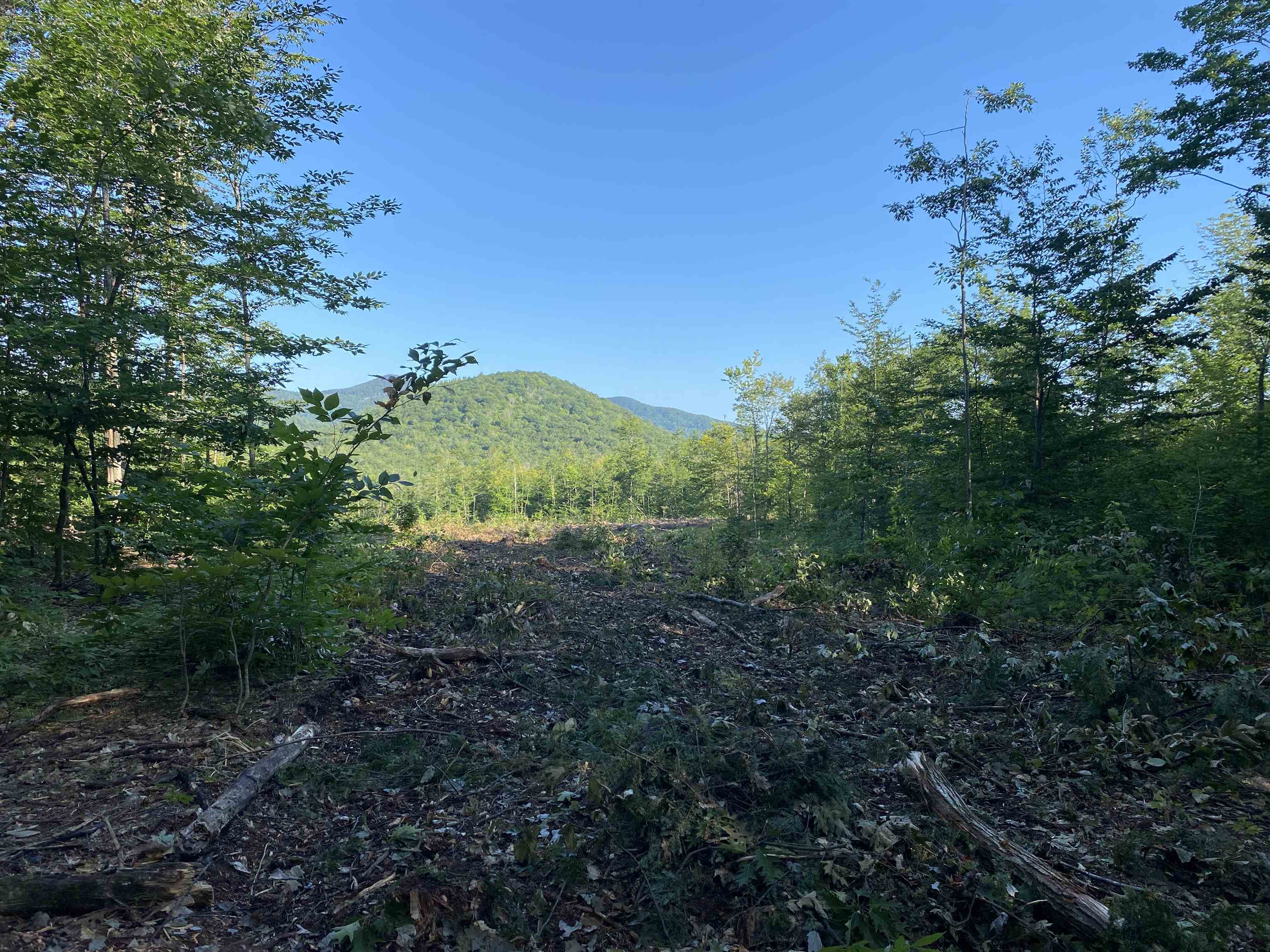 Lot 63-11-1 Ossipee Mountain Road Unit: 63/11-1