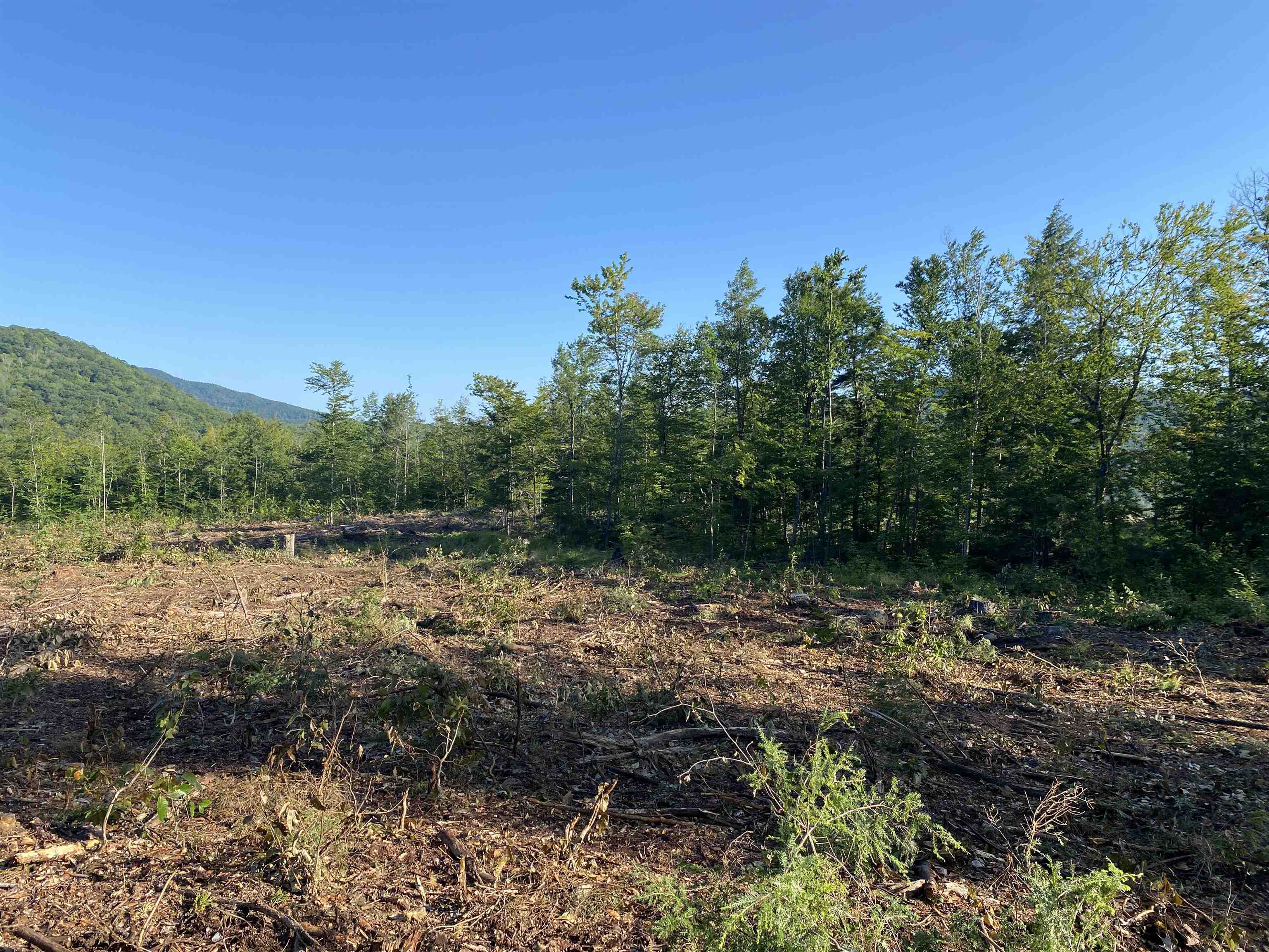 Lot 63-11-1 Ossipee Mountain Road Unit: 63/11-1