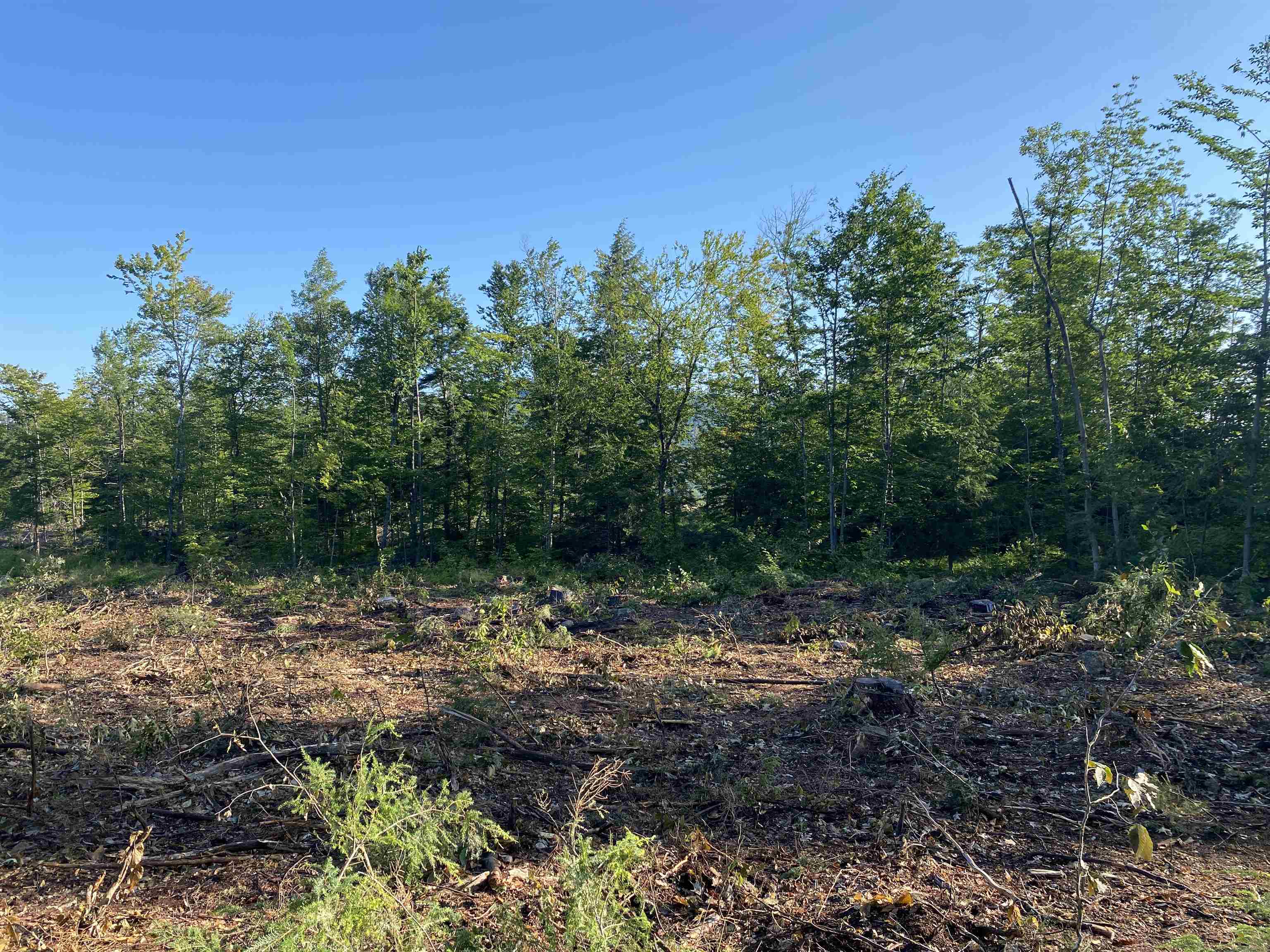 Lot 63-11-1 Ossipee Mountain Road Unit: 63/11-1