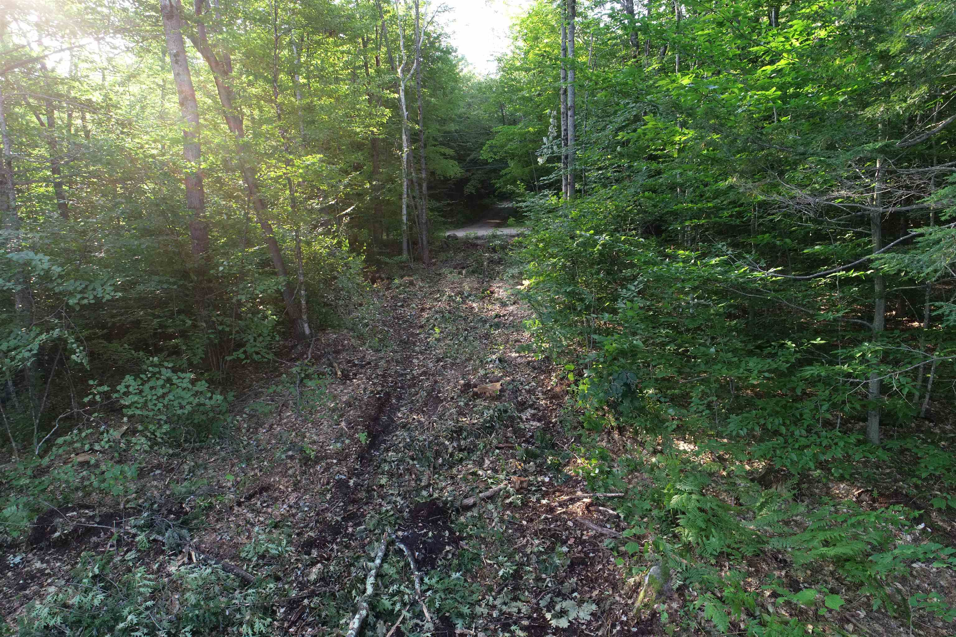 Lot 63-11-1 Ossipee Mountain Road Unit: 63/11-1