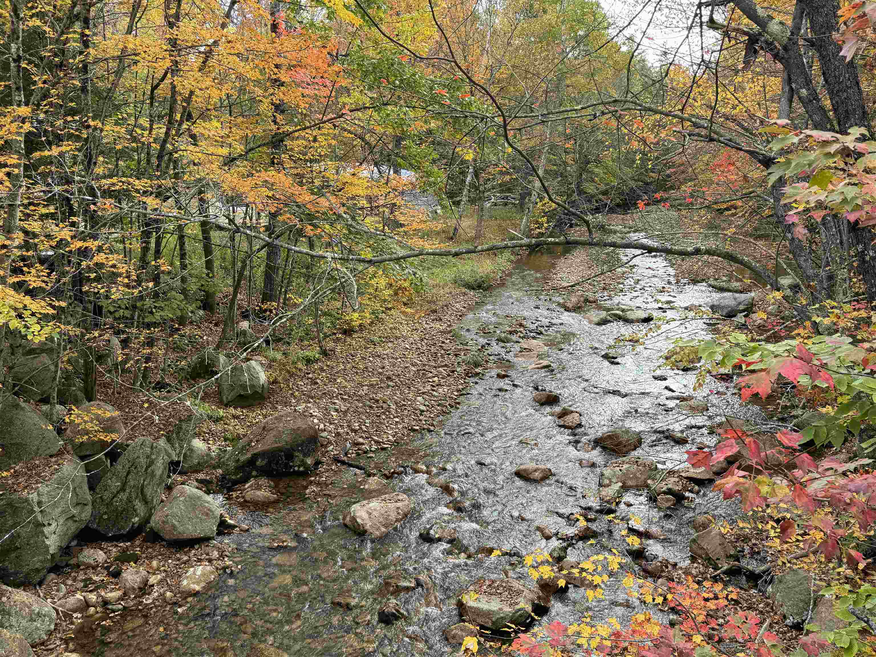 387 Ossipee Mountain Road