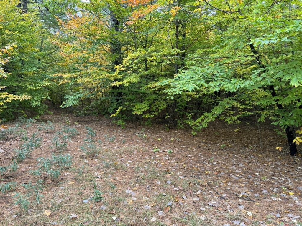 00 Green Mountain Road