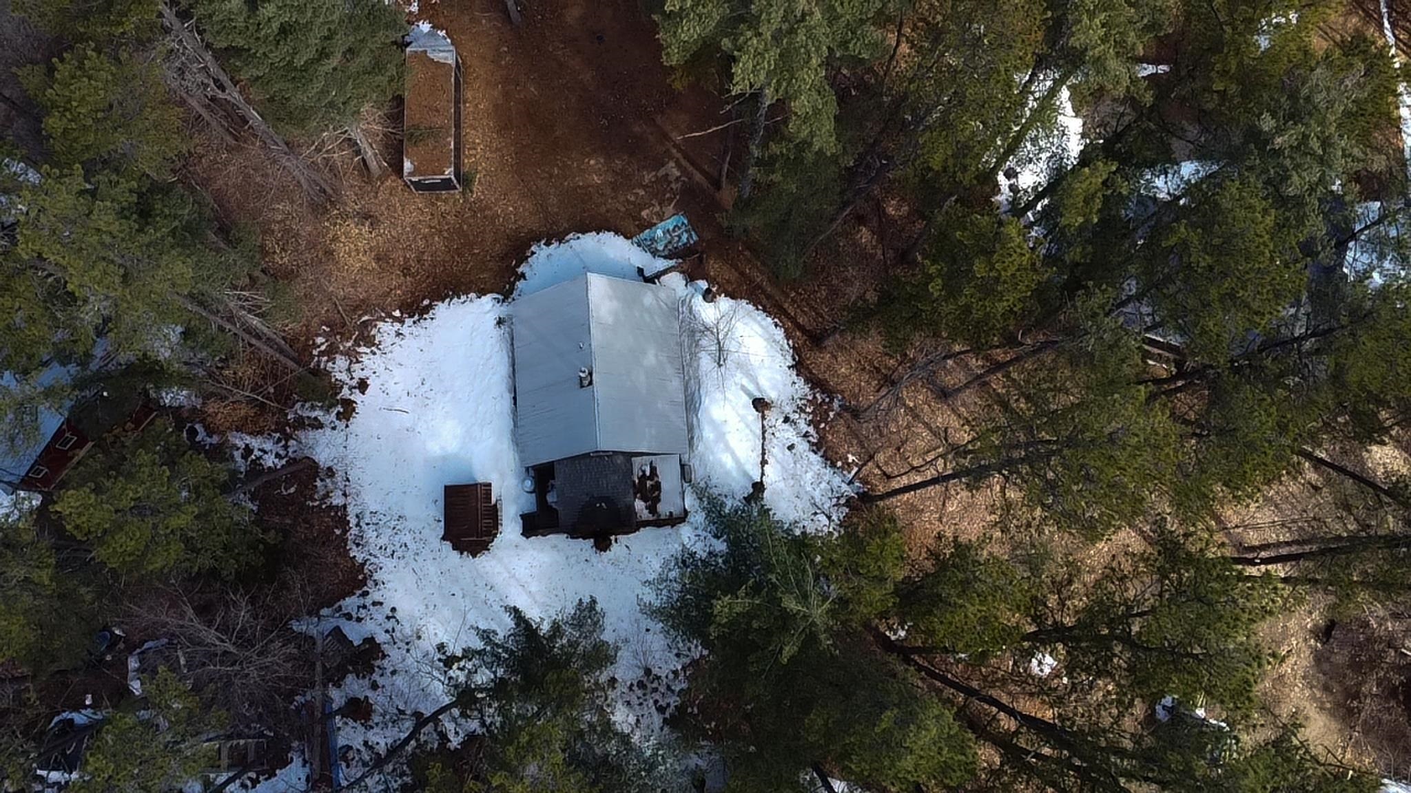 49 Pine Trail