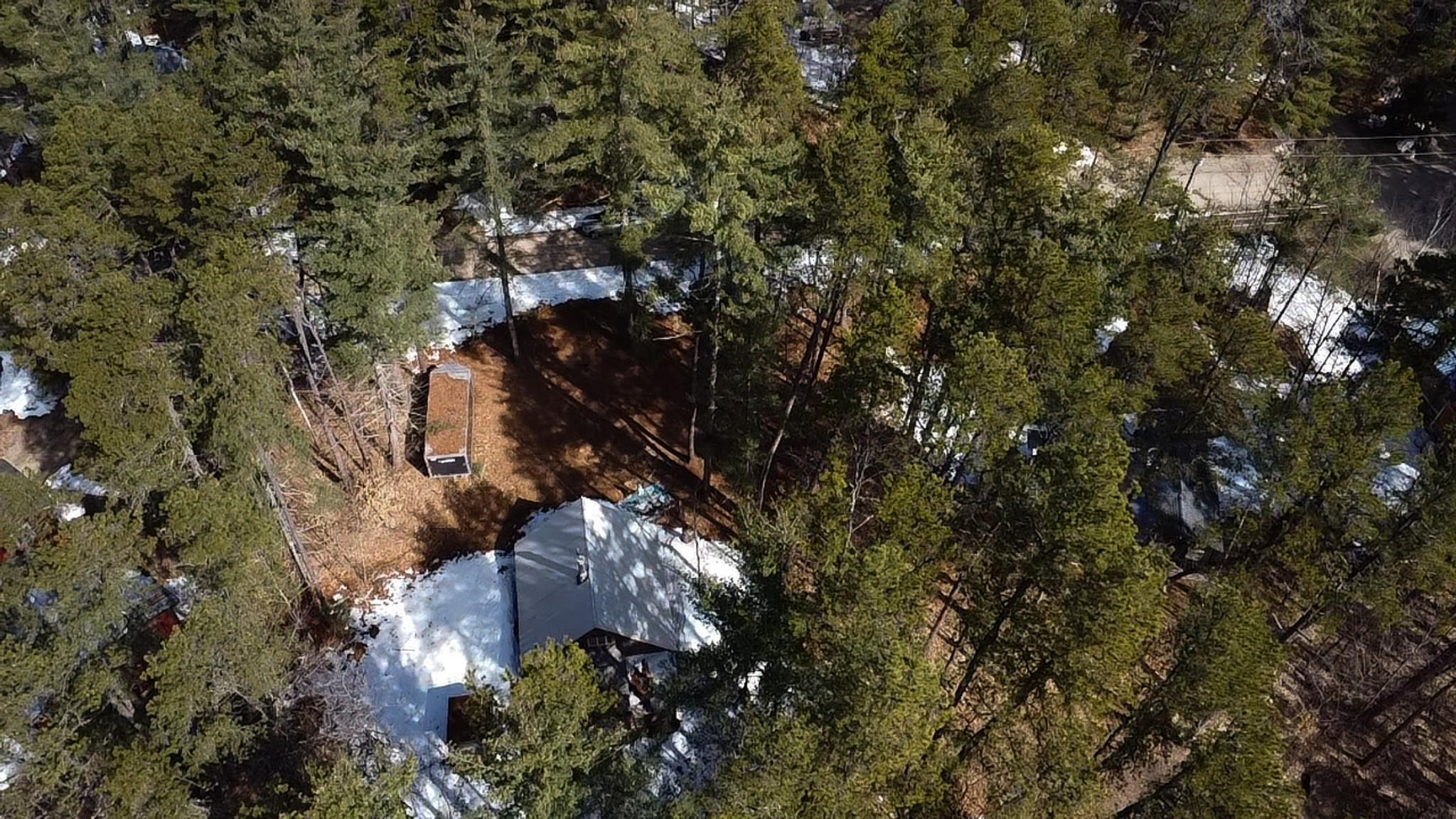 49 Pine Trail