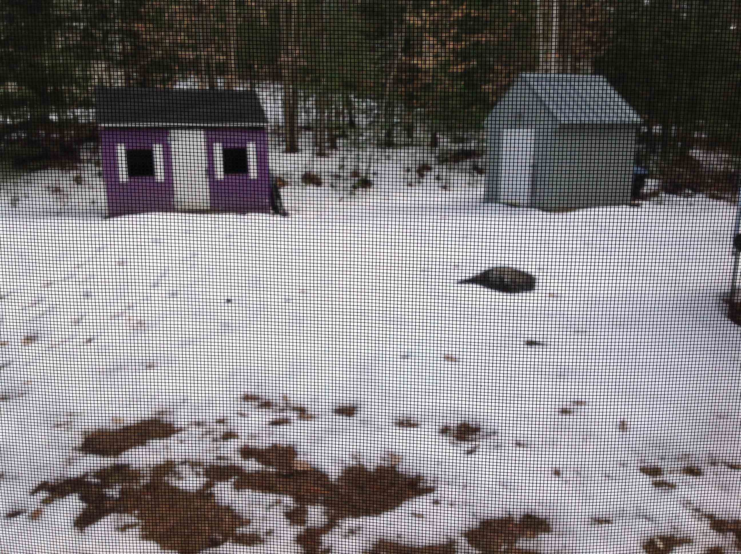26 Pine River Road