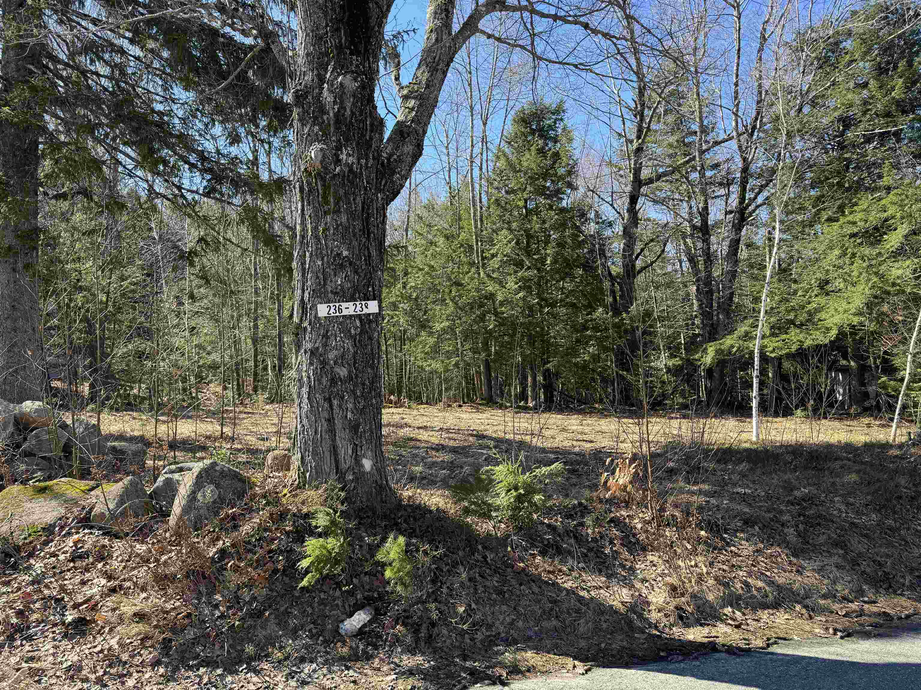 238 Valley Road