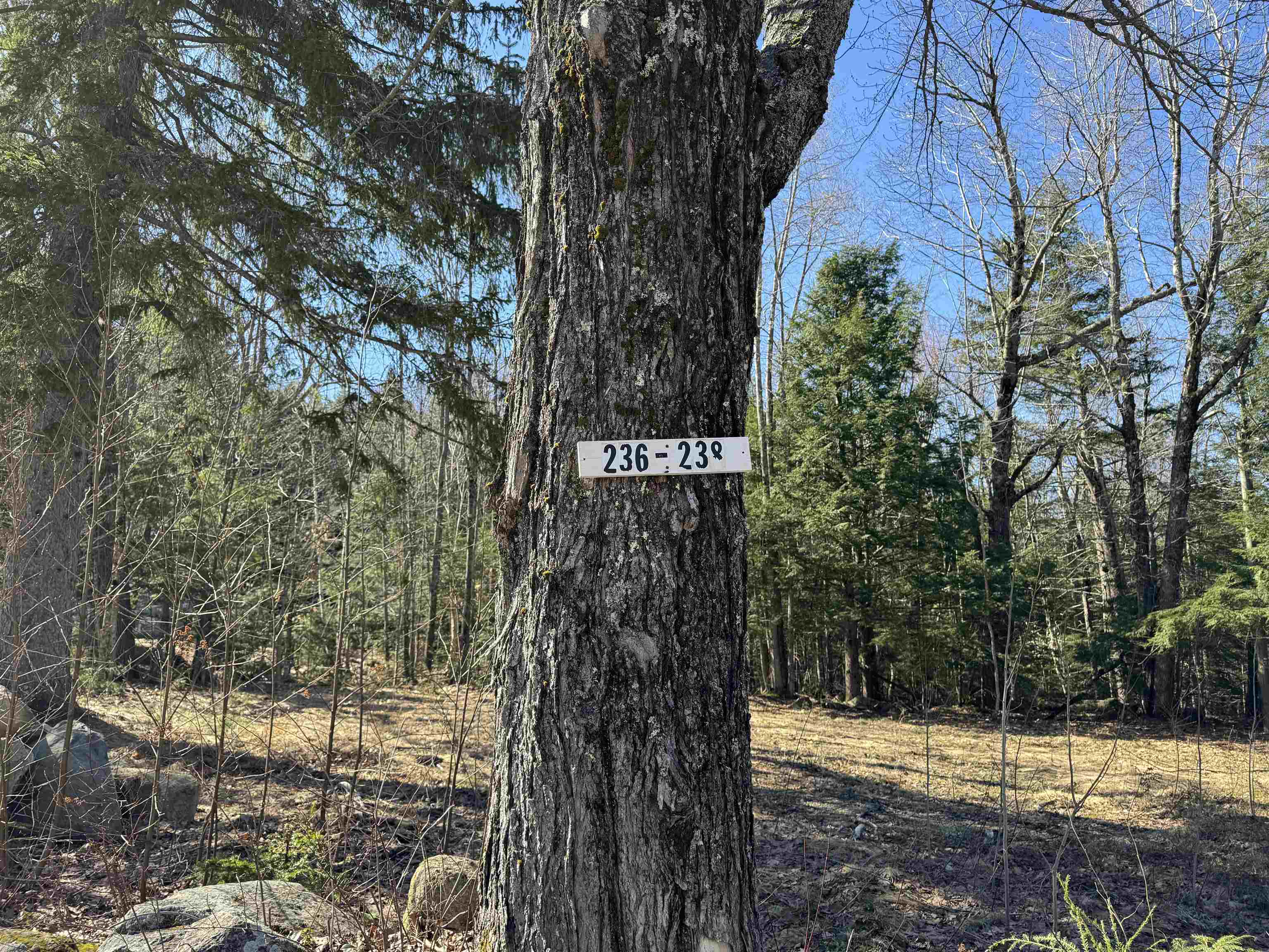 238 Valley Road