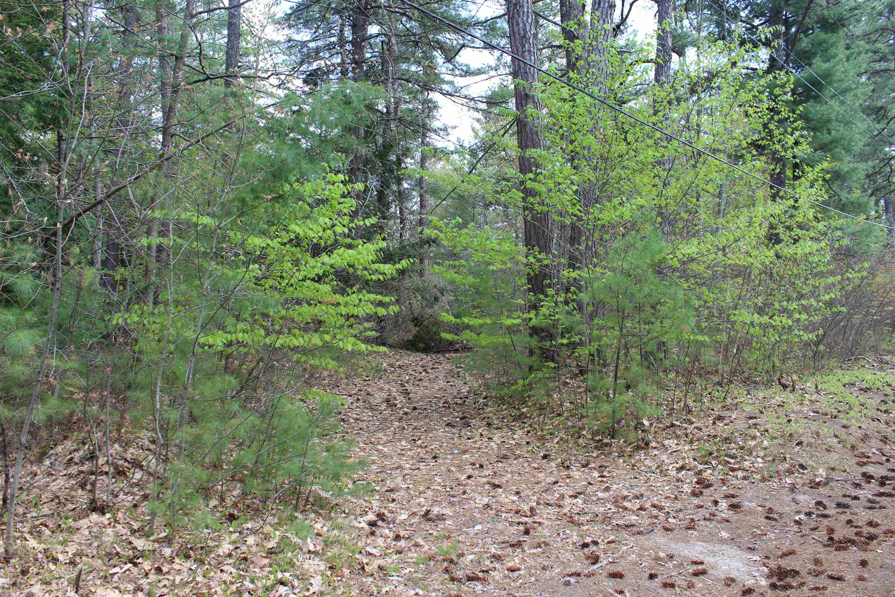97 Ridge Road