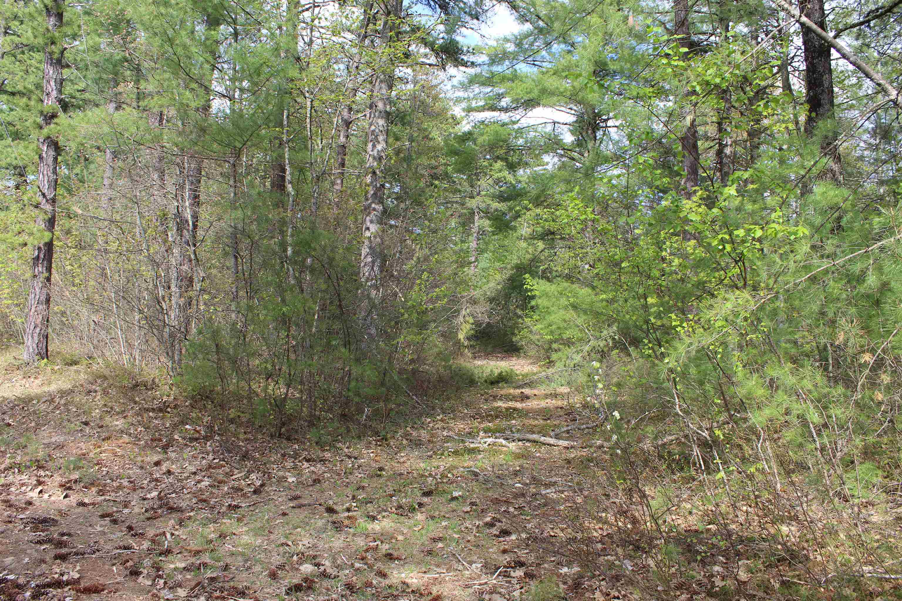 97 Ridge Road