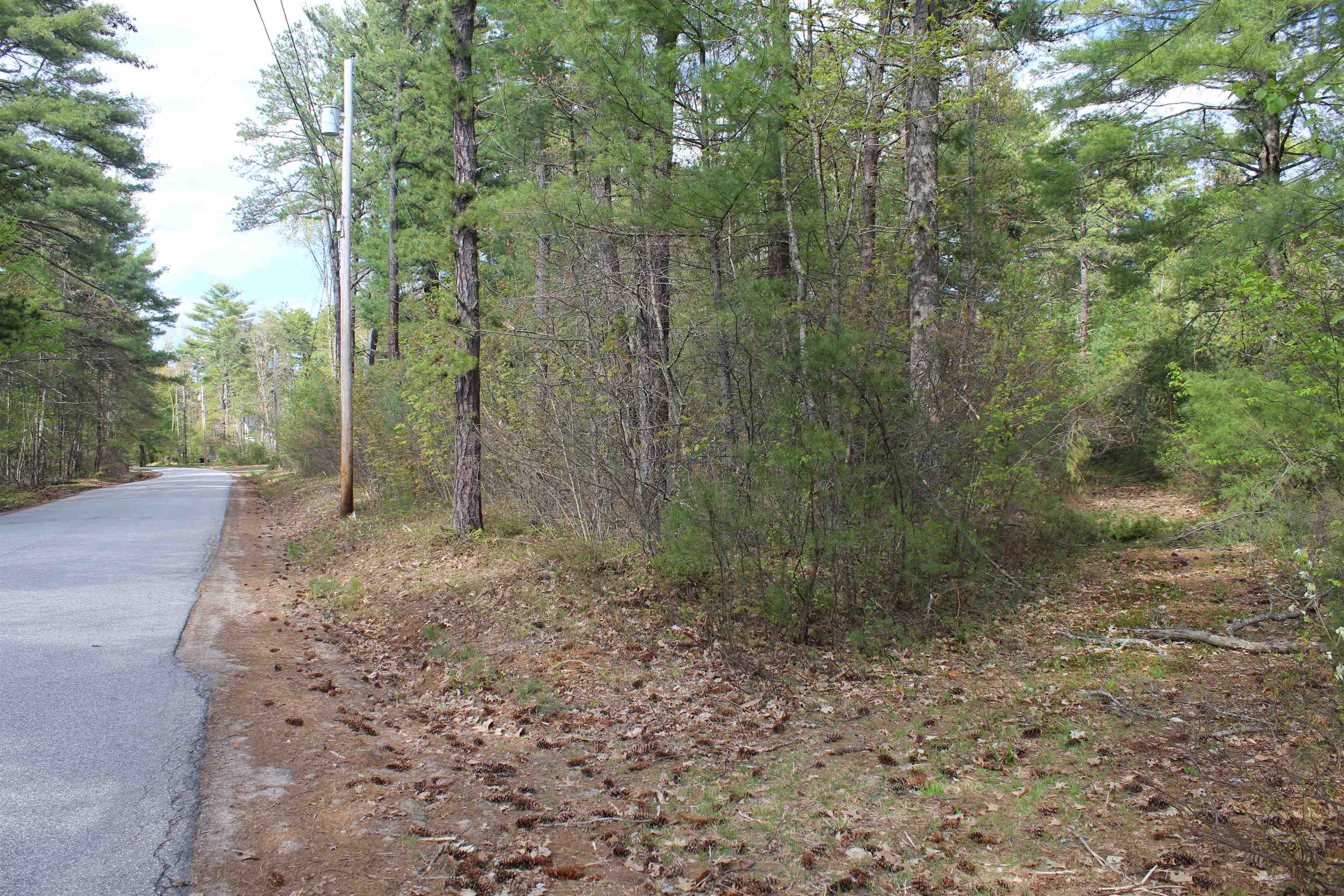 97 Ridge Road