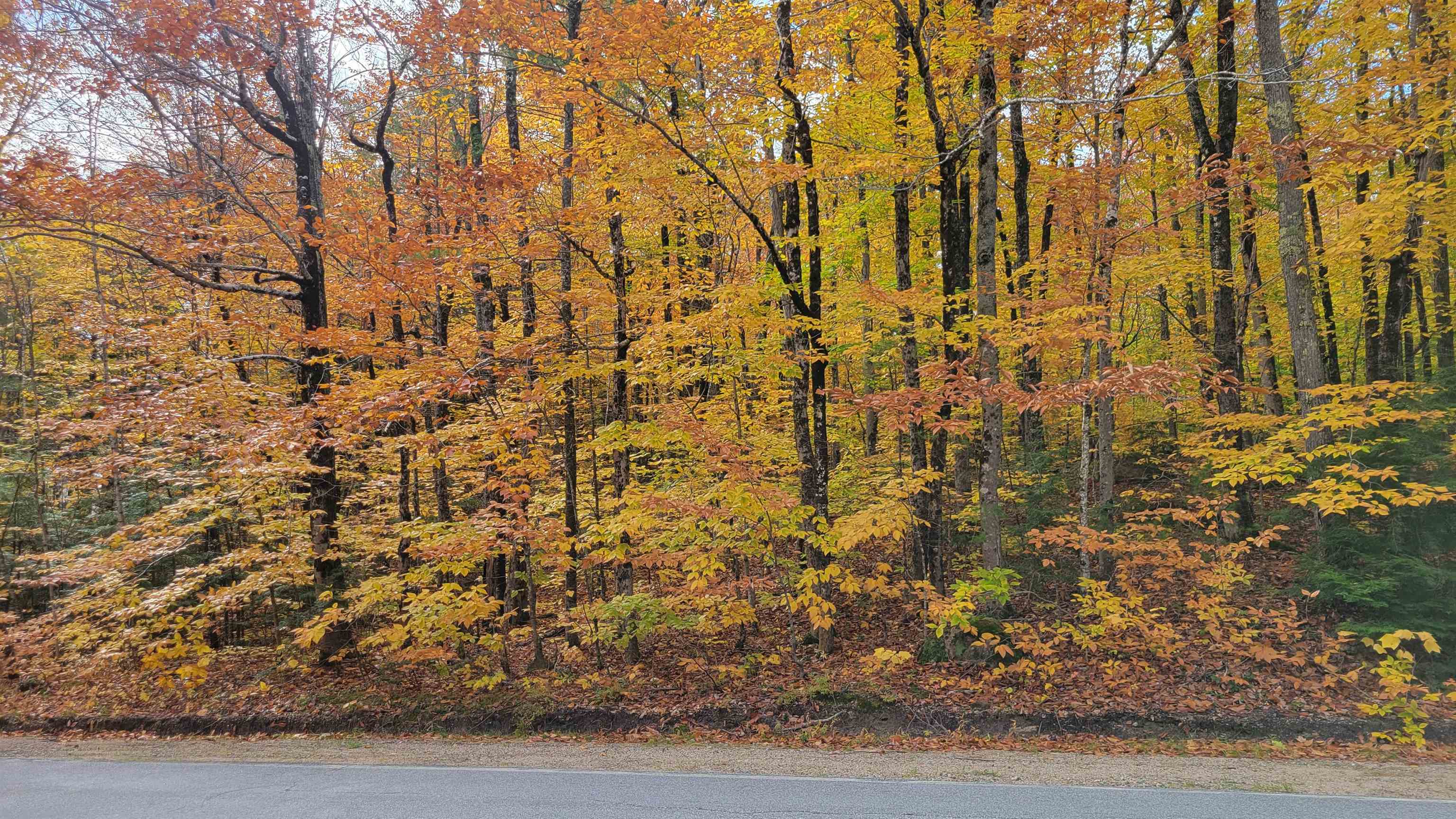 75 Ossipee Mountain Road