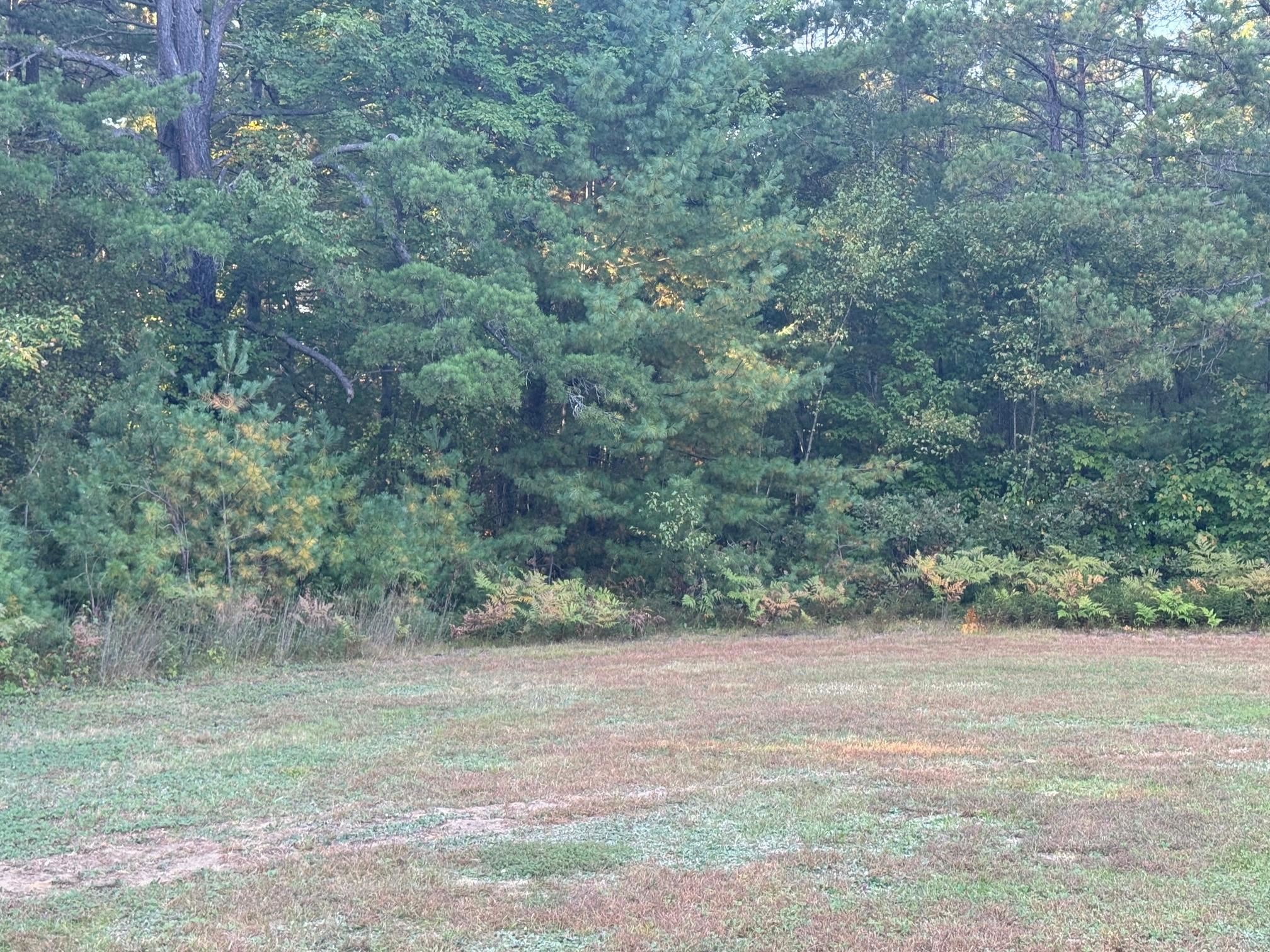 45 Old Mill Road