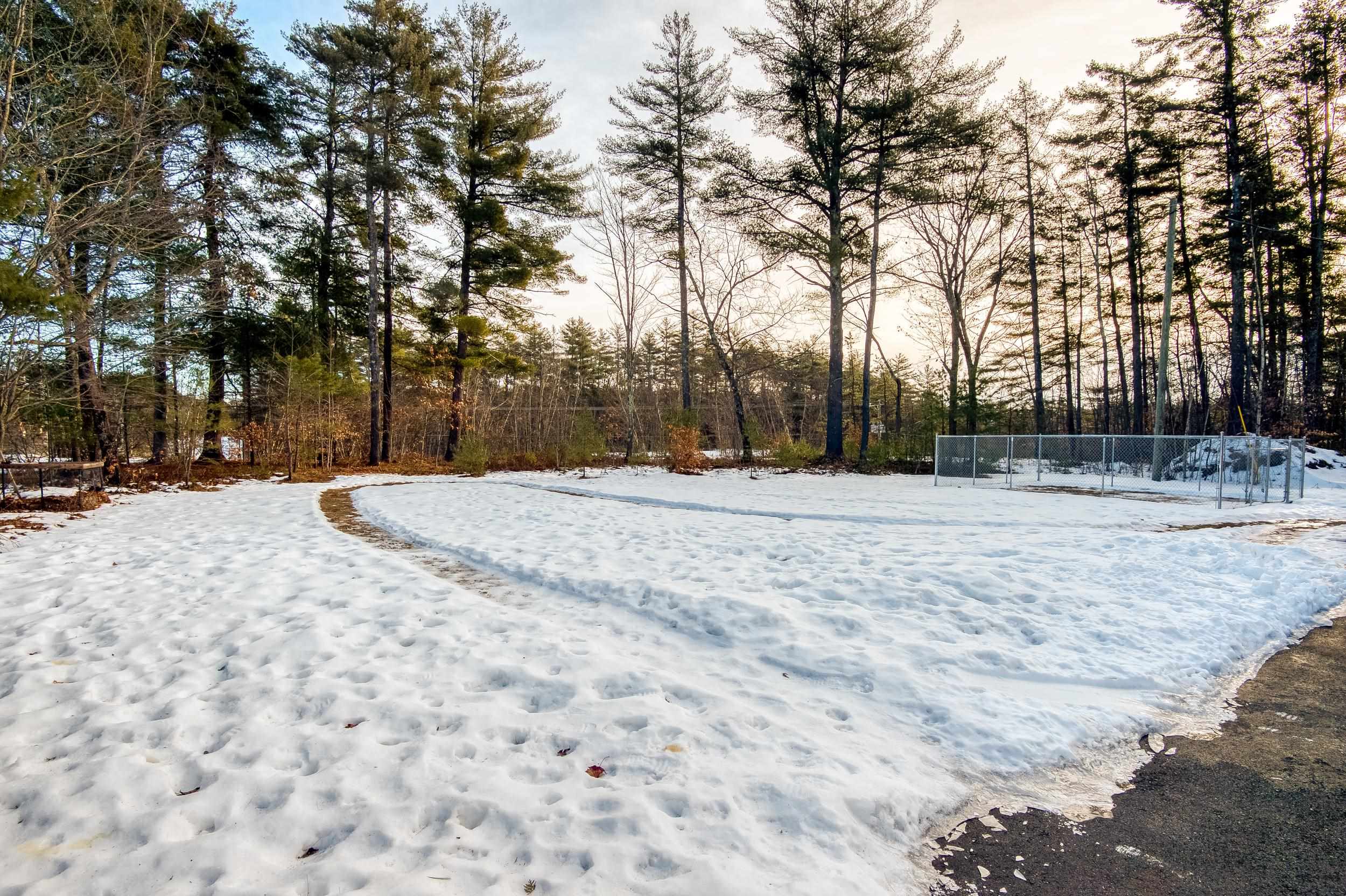 313 Maple Road