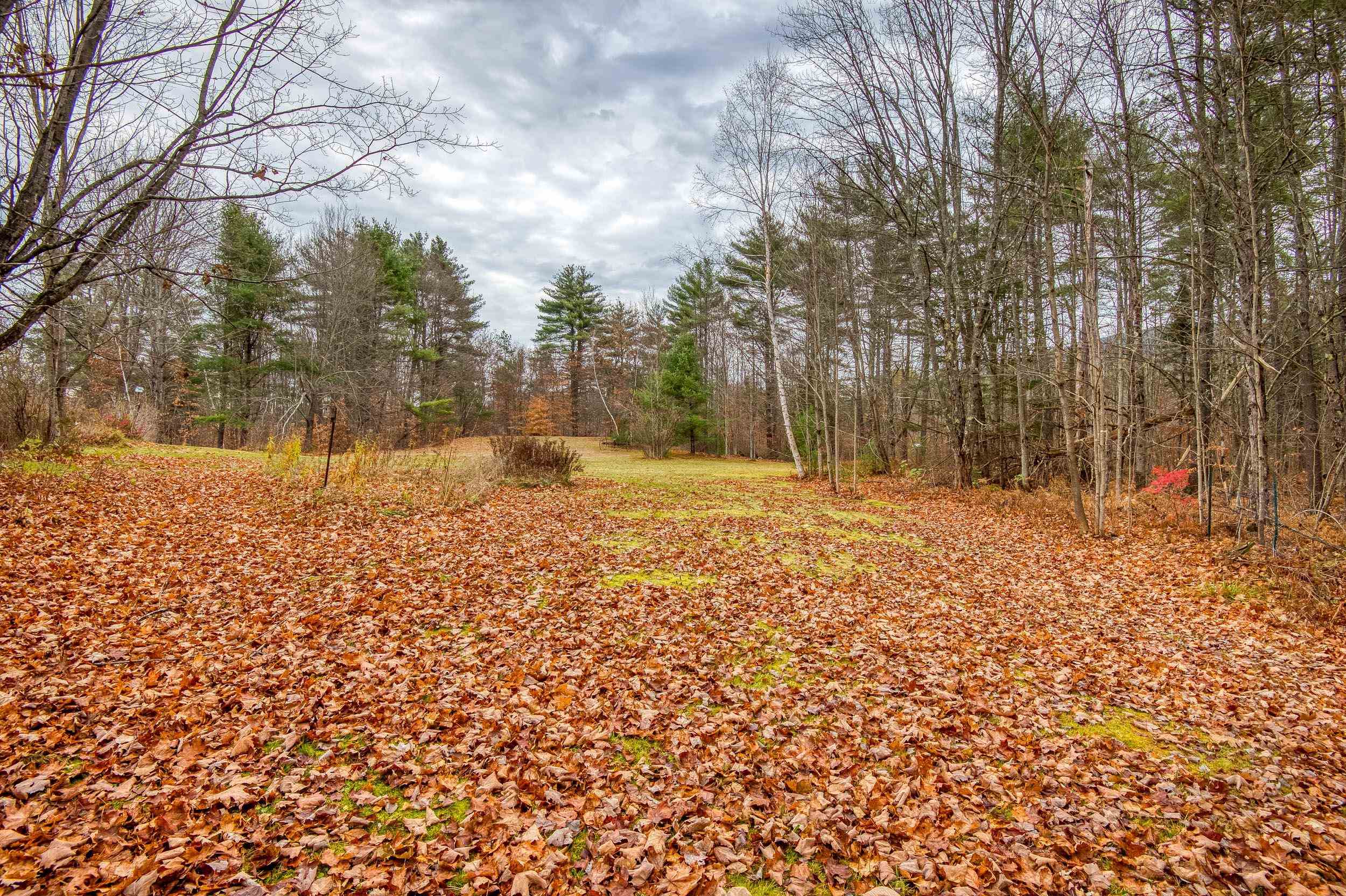 732 Green Mountain Road