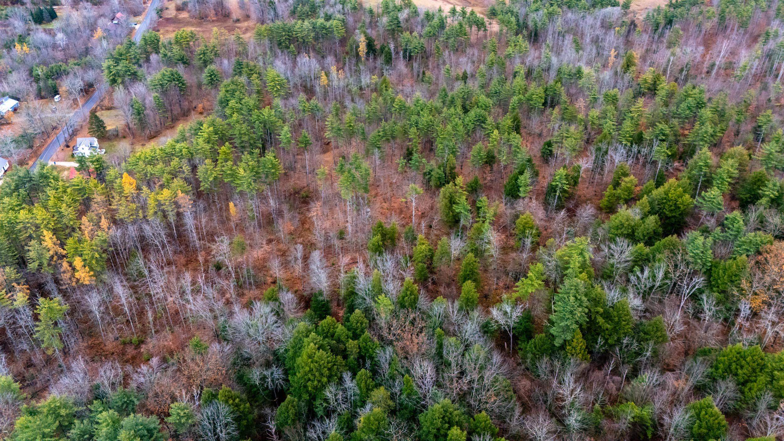 732 Green Mountain Road
