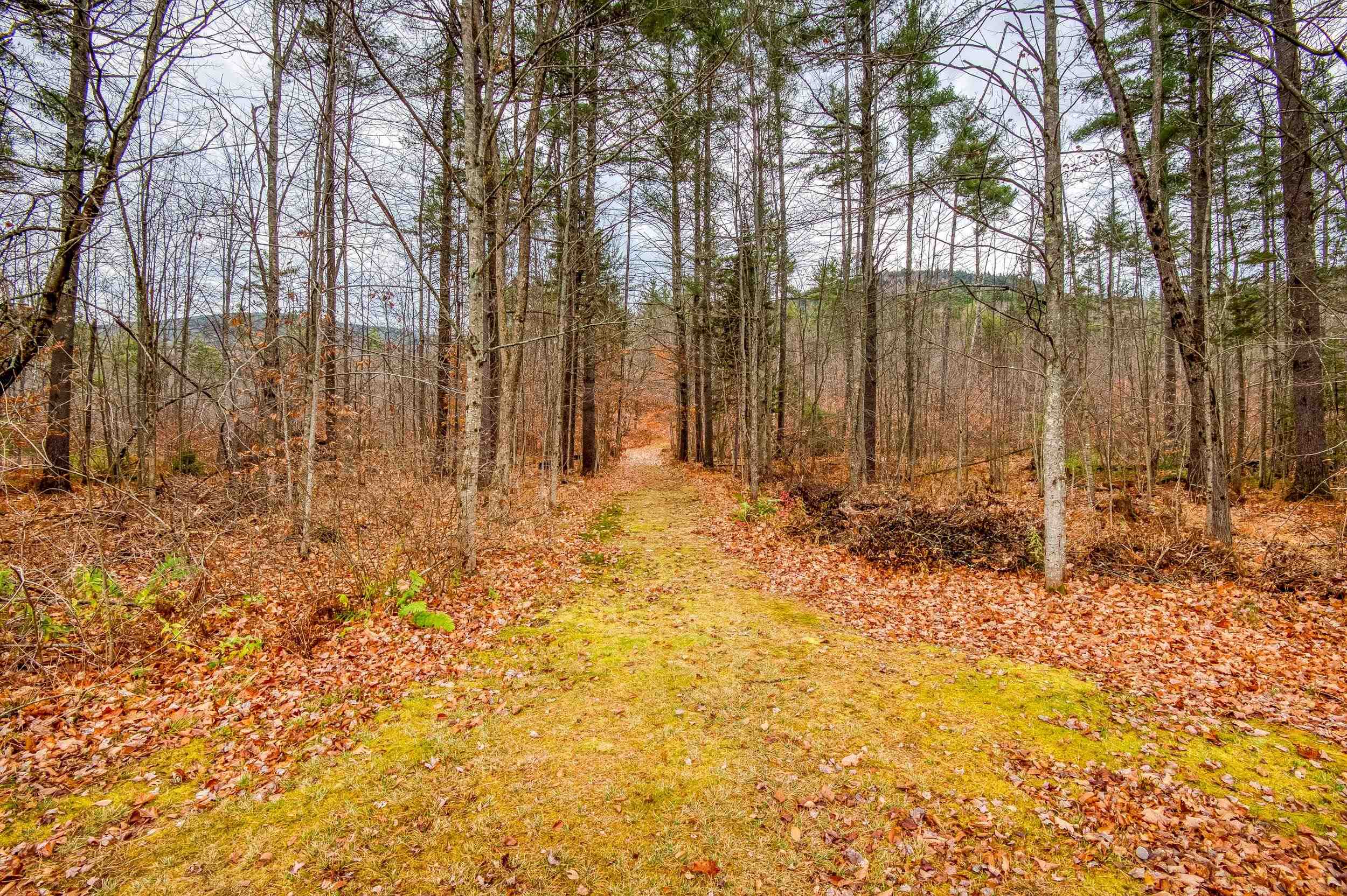 732 Green Mountain Road