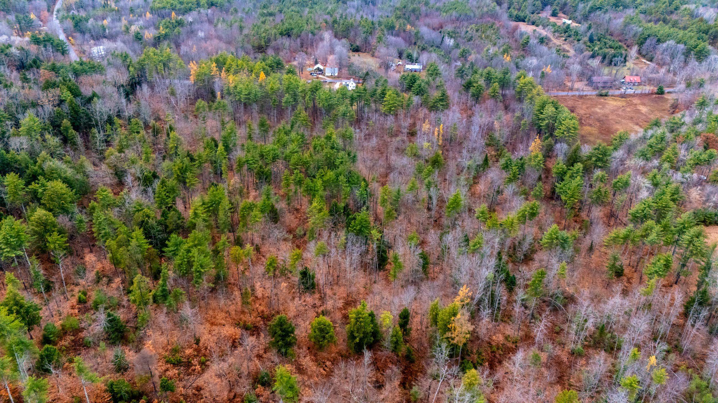 732 Green Mountain Road