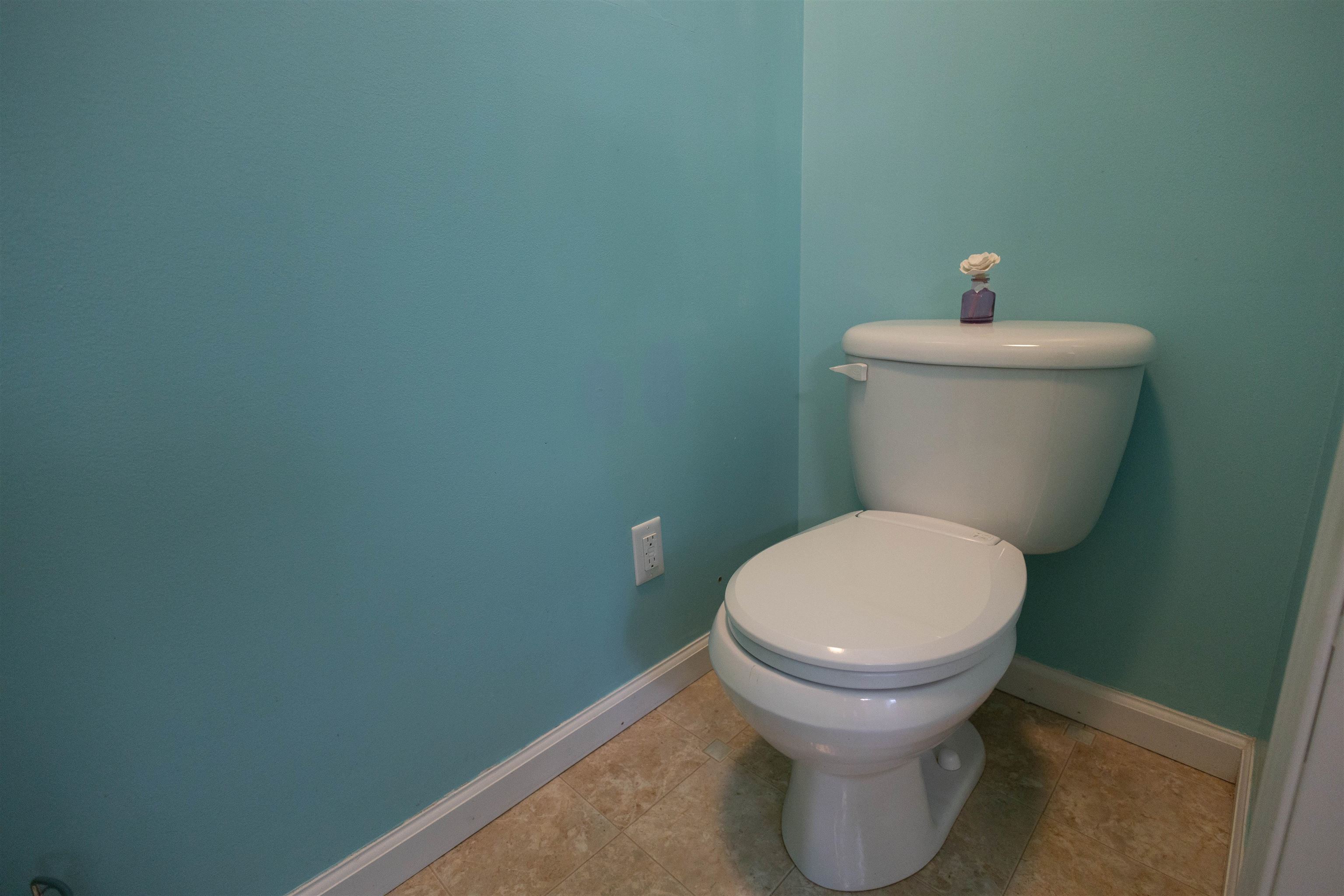 334 Silver Pine Lane